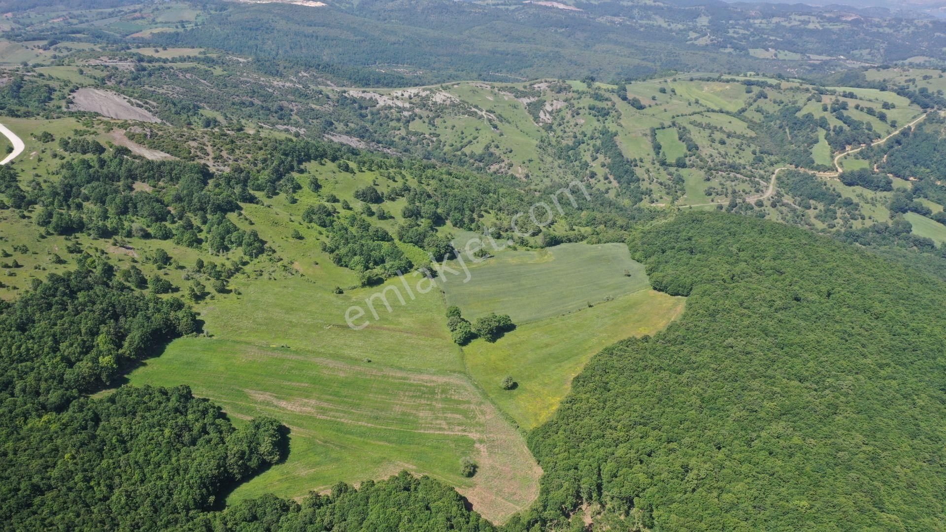 Biga Karaağaç Köyü Satılık Tarla  ÇANAKKALE BİGA KARAAĞAÇTA 10.924 M2 YATIRIMLIK SATILIK TARLA