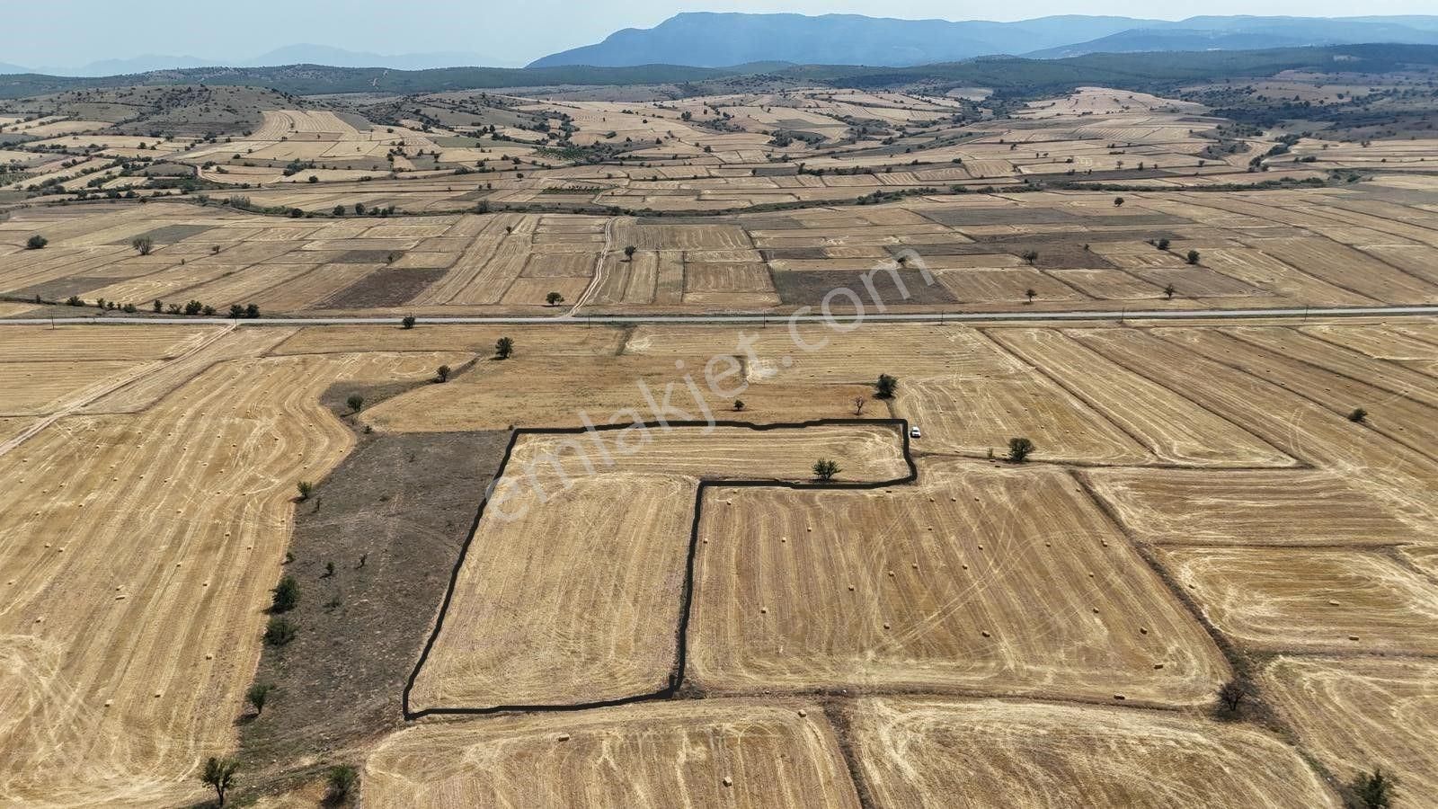 Dazkırı Yukarıyenice Köyü Satılık Tarla DAZKIRI YUKARIYENİCEDE YOLA VE SANAYİ MERKEZİ YAKIN 6500m2 ARAZİ