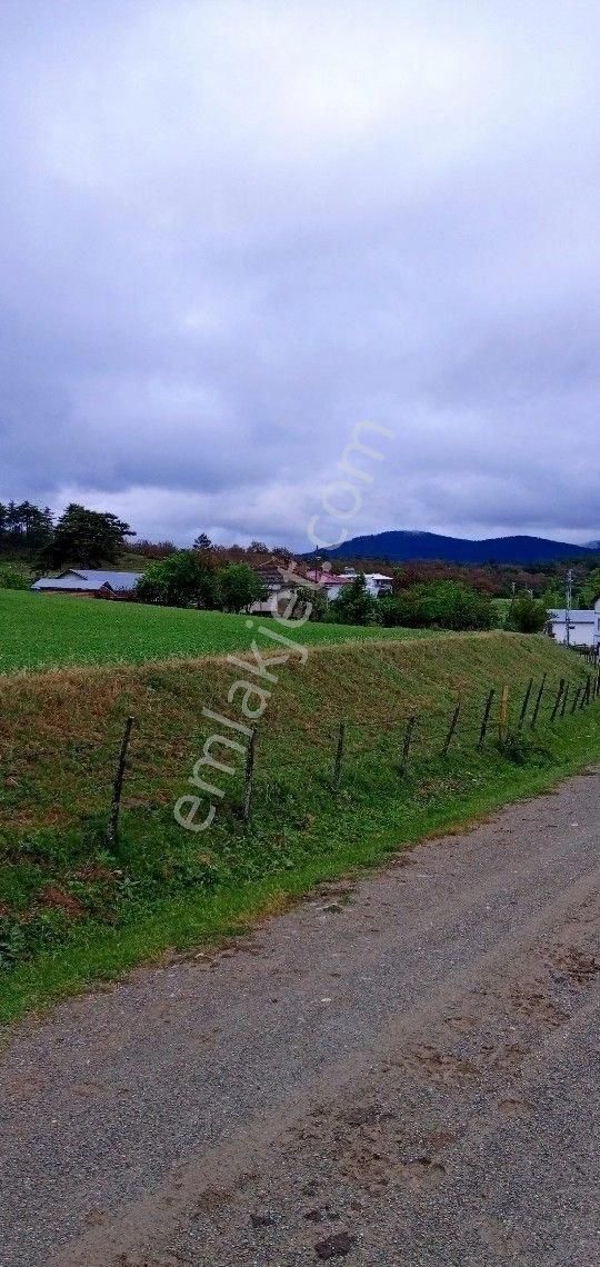 Kastamonu Merkez Baltacıkuyucağı Köyü (Aşağı Ören) Satılık Tarla GÜVEN GAYRİMENKUL DEN BALTACIKUYUCAGINDA  SÜPER ARSA