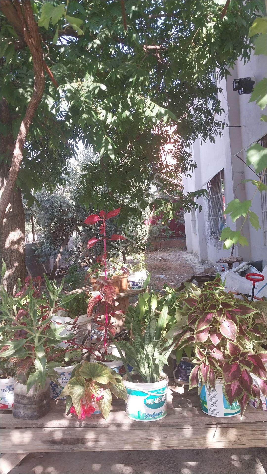 Levent Mh Satılık Köşebaşında 2katlı Bahçeli Müstakil - Görsel 3