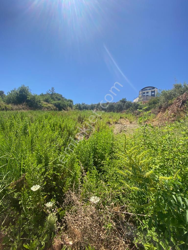 Alanya Tepe Satılık Villa İmarlı  TEPE MAHALLESİNDE SATILIK VİLLA İMARLI ARSA