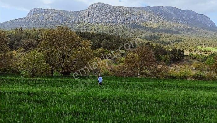 Gölpazarı Karacalar Köyü Satılık Tarla BİLECİK GÖLPAZARI KARACALAR KÖYÜNDE SATILIK TARLA 