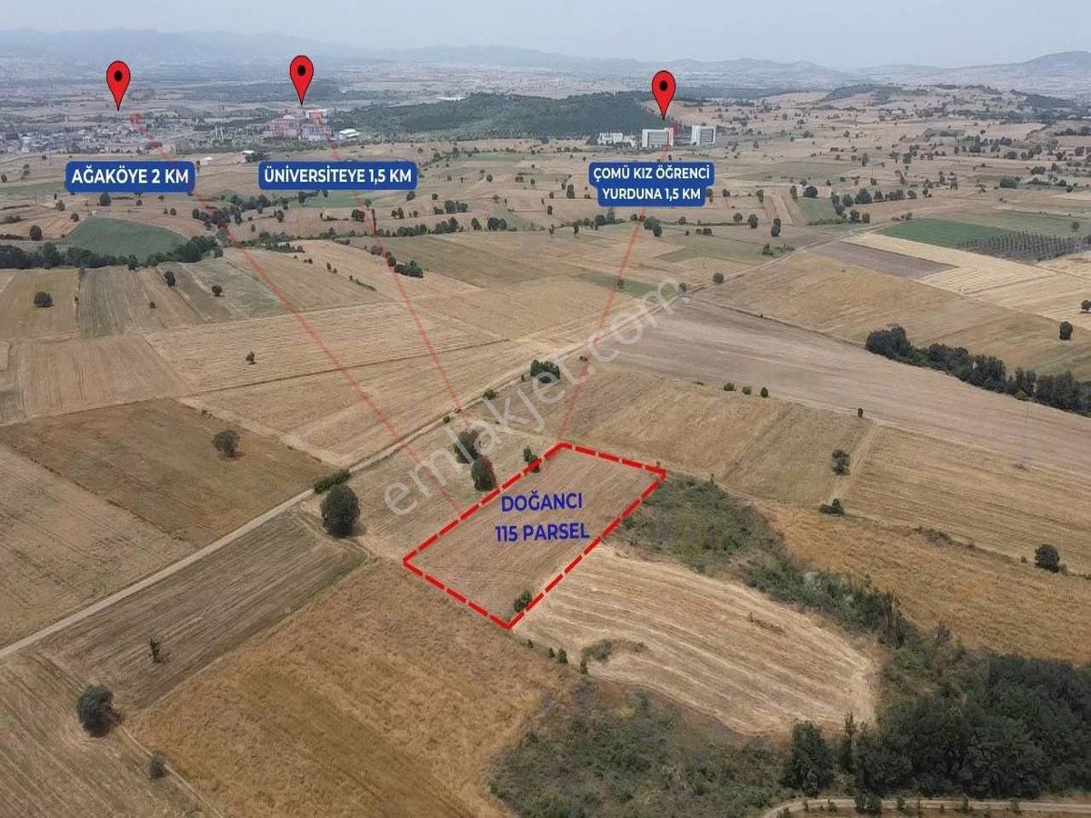 Biga Doğancı Köyü Satılık Tarla Doğancı Köyü'nde 5.350 m² Yatırım Fırsatı