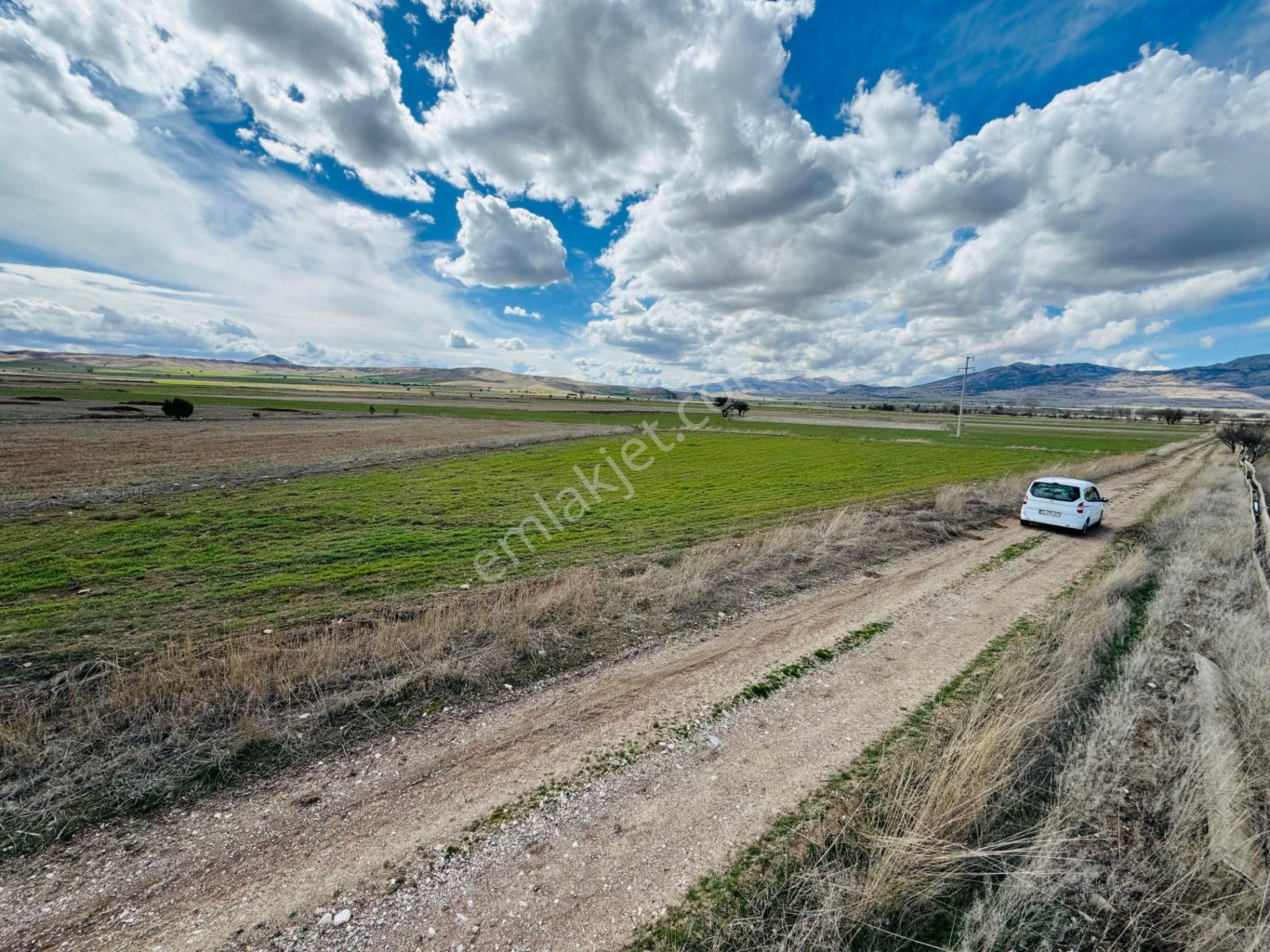 Burdur Kemer Pınarbaşı 📢 2088 M2 Yola Cephe Köy Dibinde 🟢 Yemyeşil Dümdüz Ekilir Biçilir Arazi 🟢 - Görsel 8