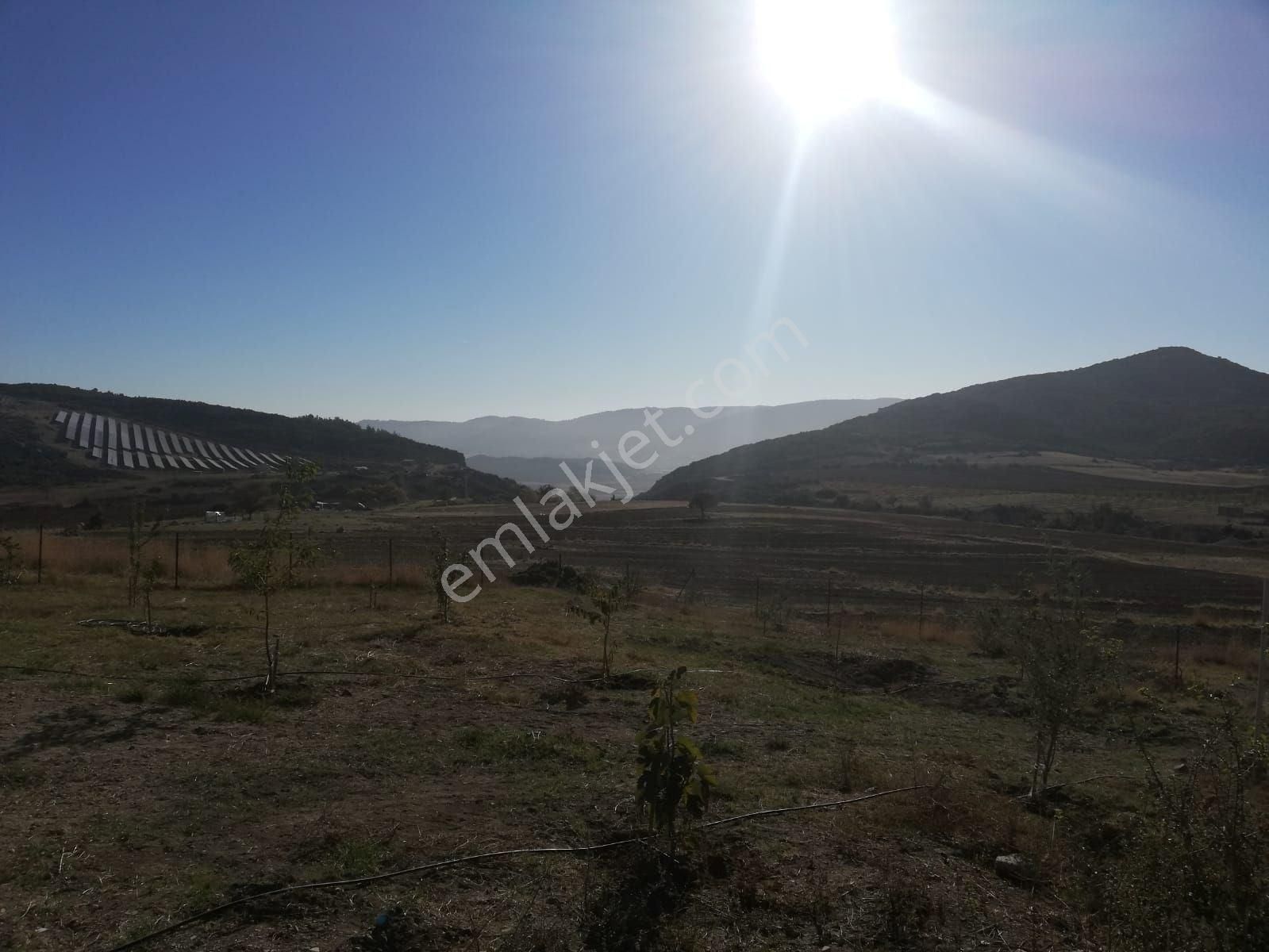 Döşemealtı Bademağacı Satılık Konut İmarlı BADEMAĞACIN'DA UYGUN FİYAT GÜZEL LOKASYONDA İMARLI SATILIK ARSA