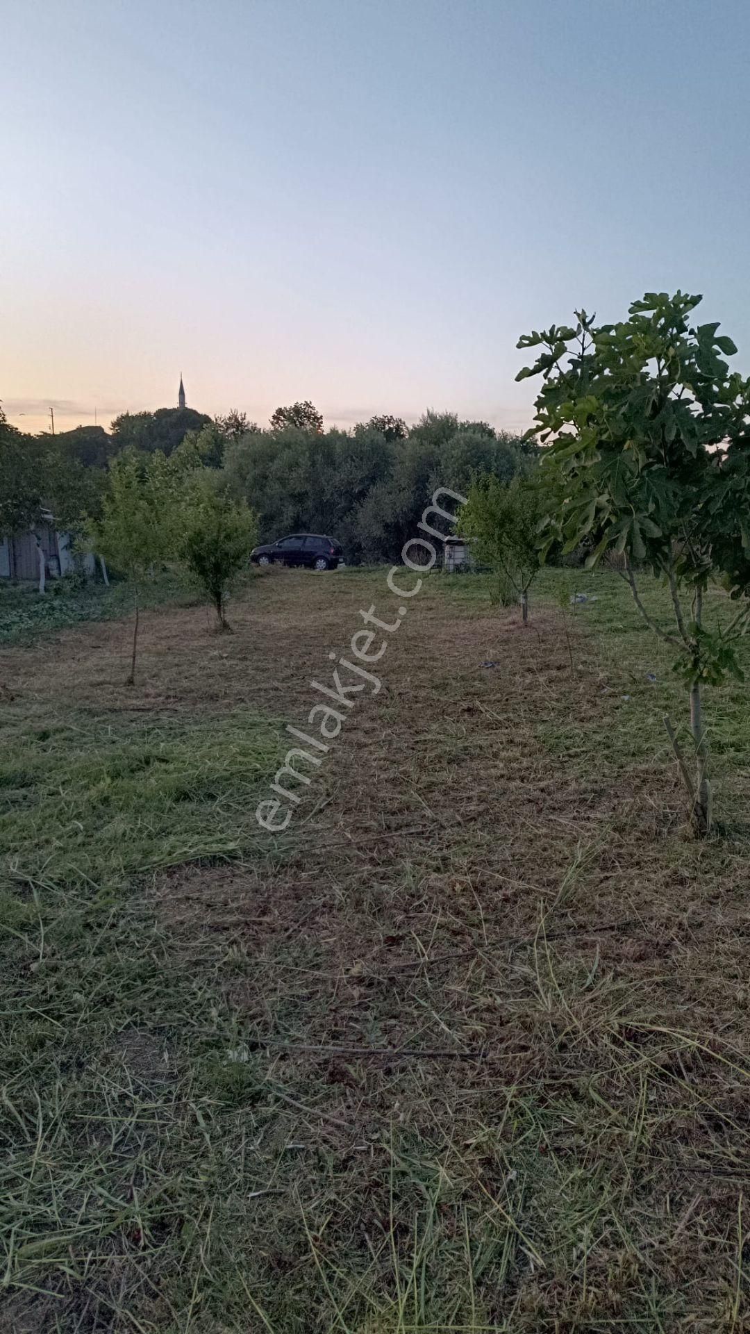 Biga Doğancı Köyü Satılık Tarla  ÇANAKKALE BİGA DOĞANCI 503 M2 SATILIK TARLA