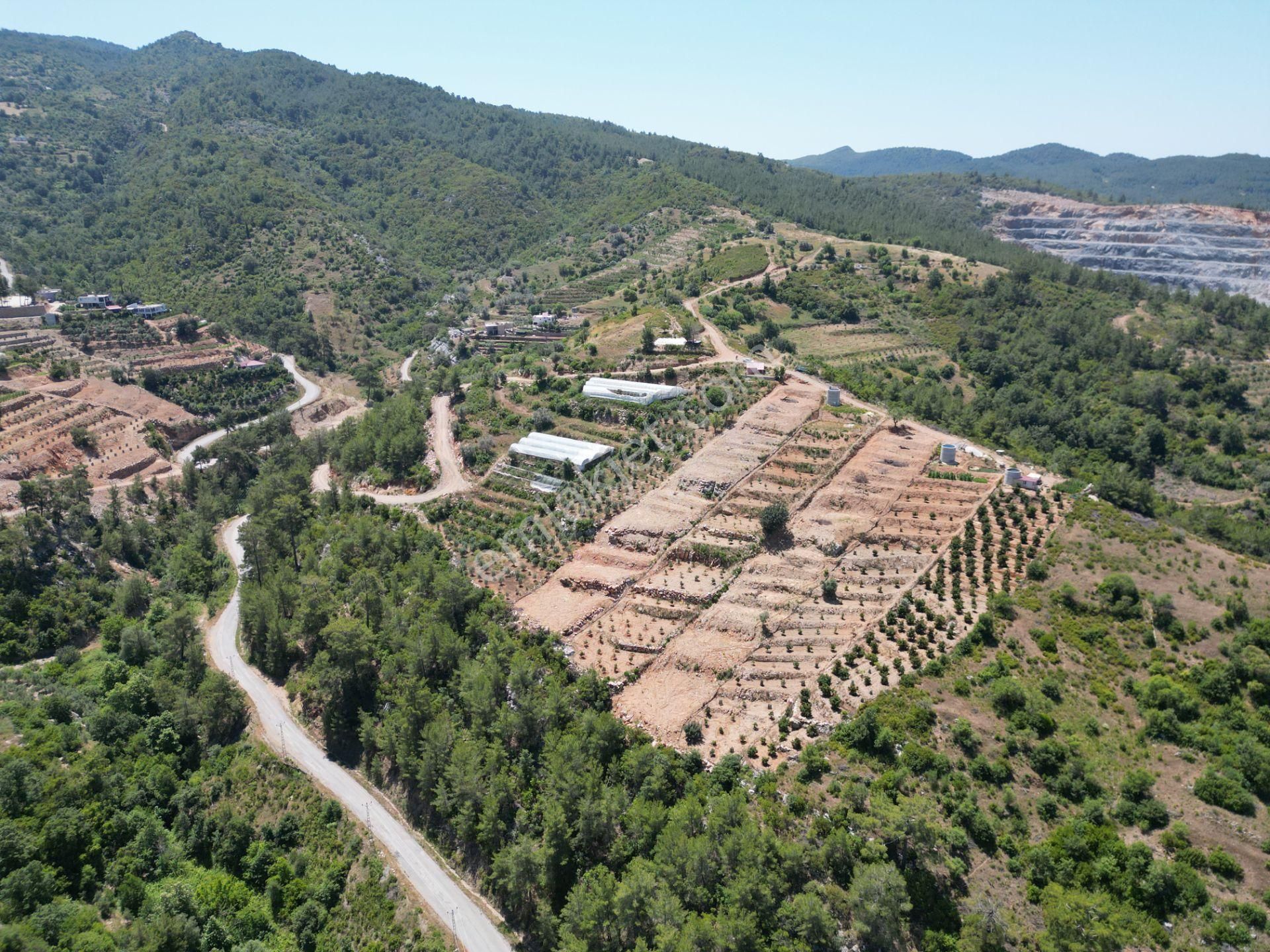 Alanya Beyreli Satılık Tarla Alanya Beyreli Mahallesi'nde Yatırım Fırsatı! Yeni Çevre Yoluna 1 km, Deniz Manzaralı Satılık Mülk