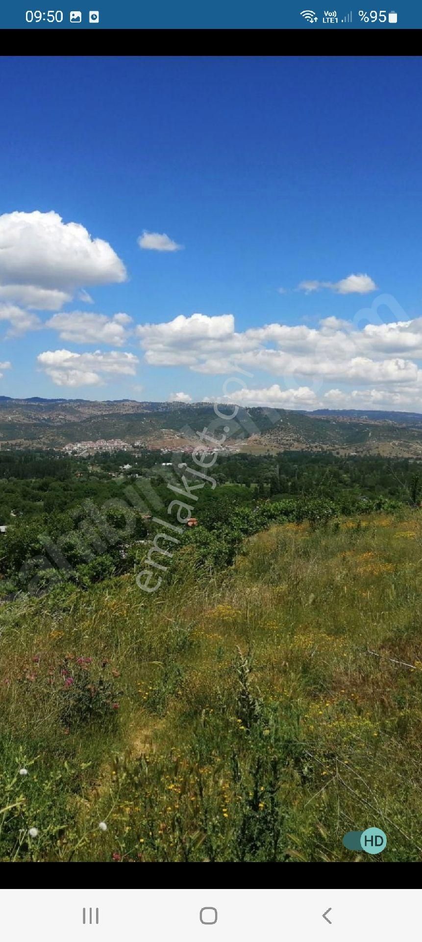 Çavdarhisar İlcikören Köyü Satılık Tarla kutahyadan uygun tarla