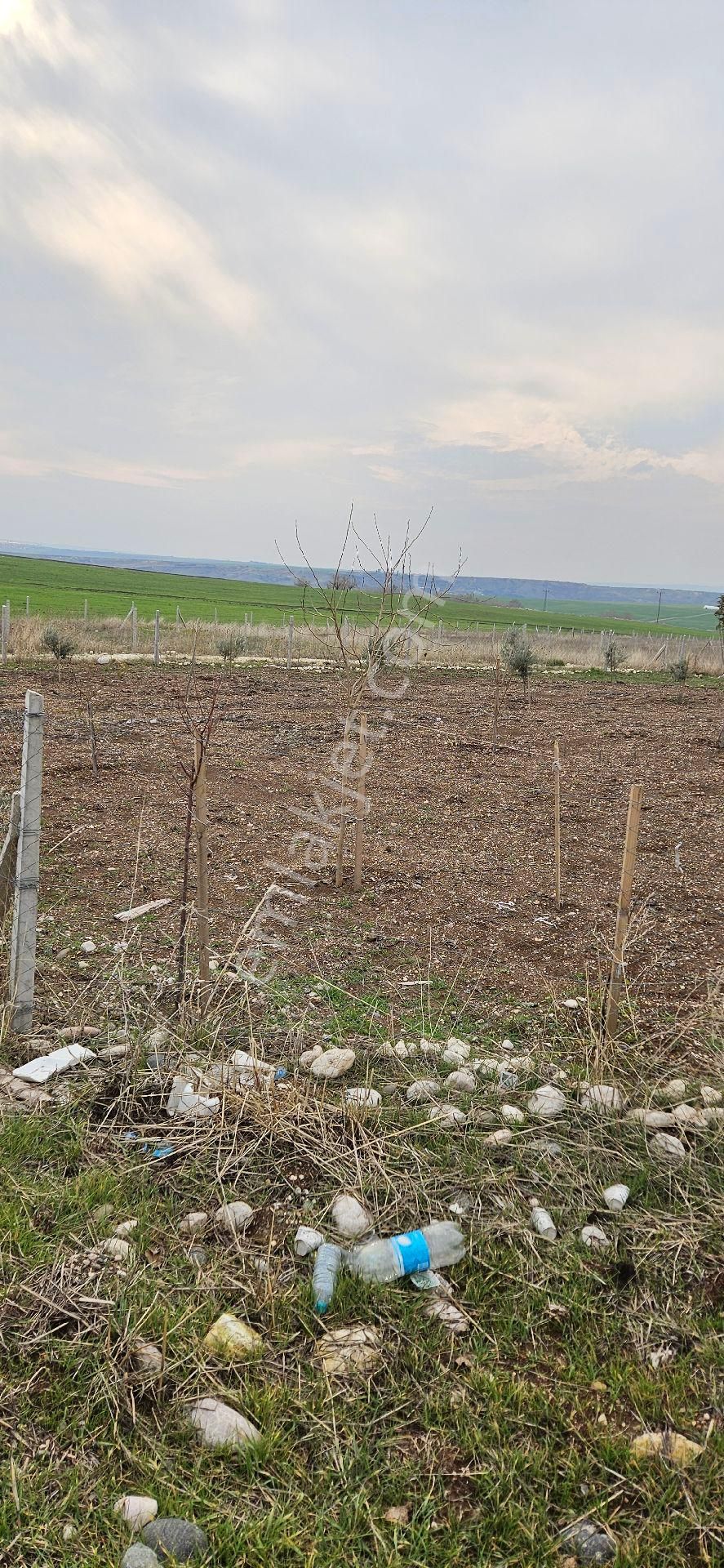 Adıyaman Merkez Mehmet Akif Satılık Tarla VARTANA DA SATILIK BAĞEVİ YERİ