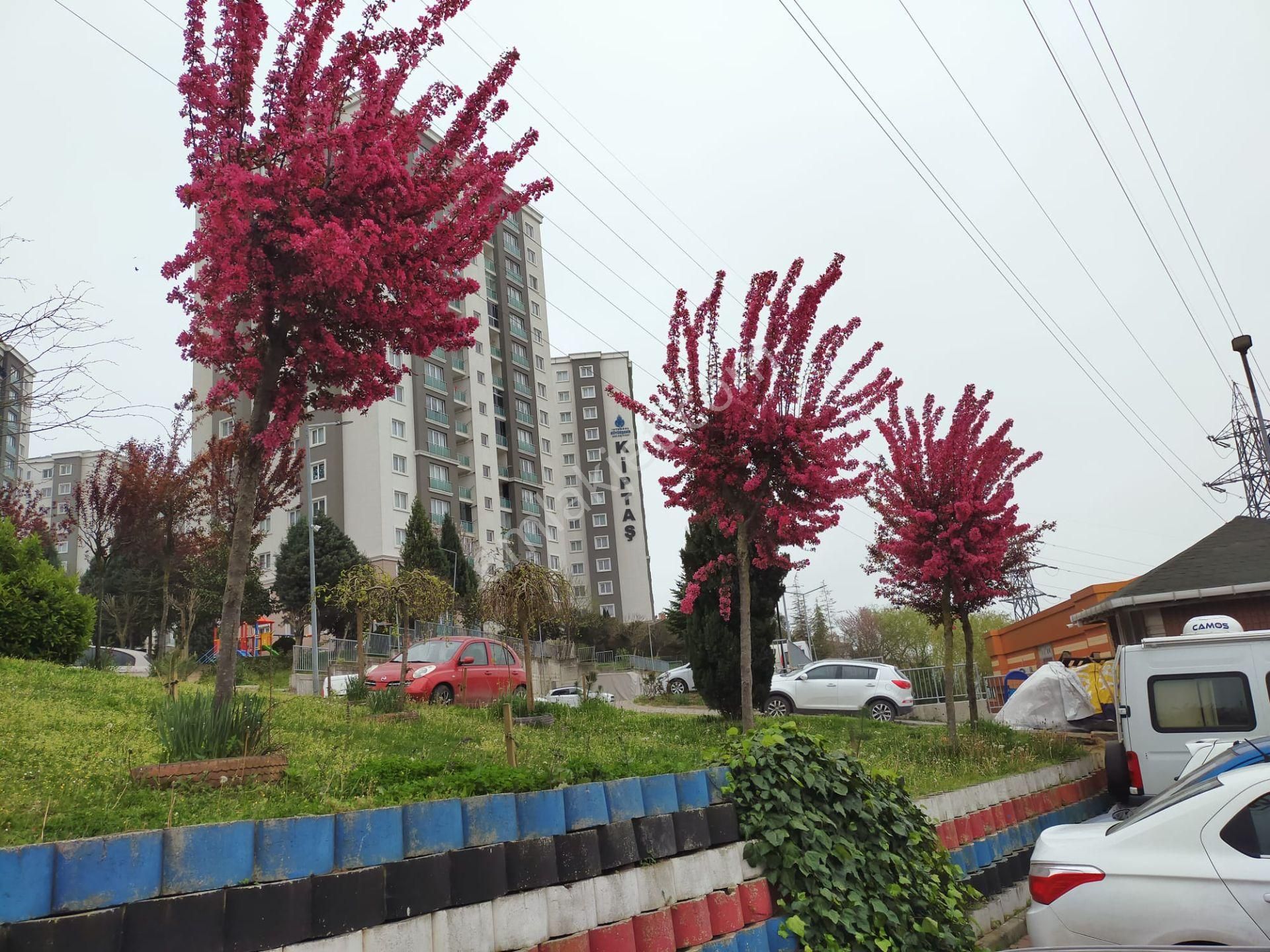 Başakşehir Güvercintepe Havalimanına Yakın Kiralık Daire  KAYAŞEHİR KİPTAŞ KAYABAŞI KNT. ŞEHİR HST.YAKINI 2+1 KİRALIK DAİRE