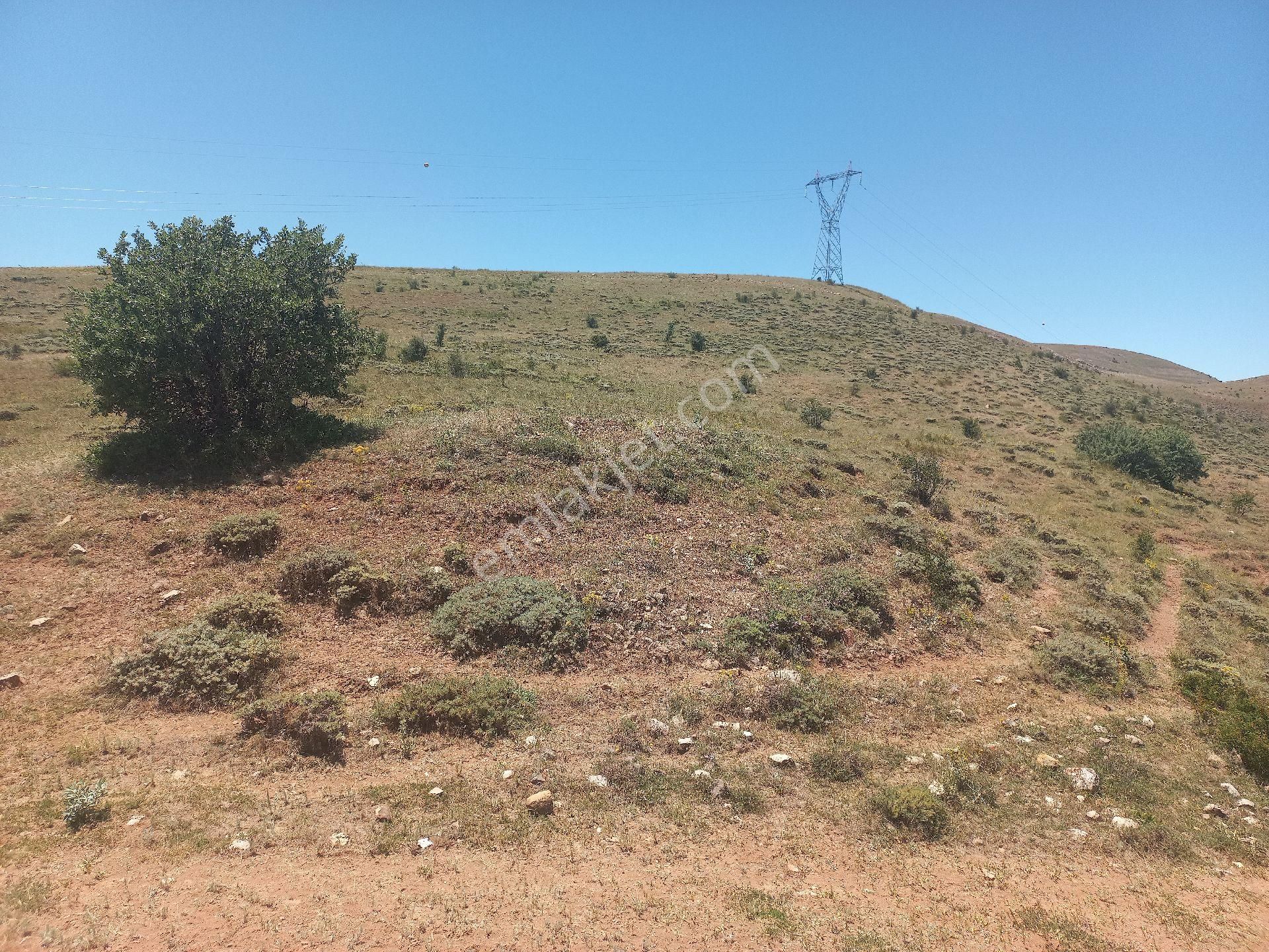 Bayburt Merkez Kemertaş Köyü Satılık Tarla Satılık Tarla