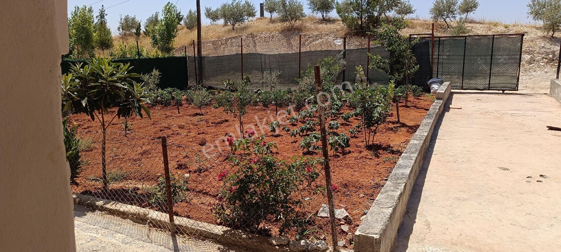 Haliliye Aşağı İçkara Satılık Tarla aşağı ickarada satılık uygun bağ evi 