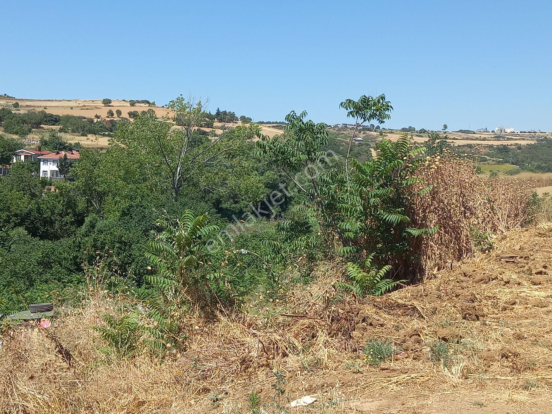 Süleymanpaşa Altınova Satılık Konut İmarlı Kelepirrr, Kutal Emlaktan Altınovada satılık fırsat arsa