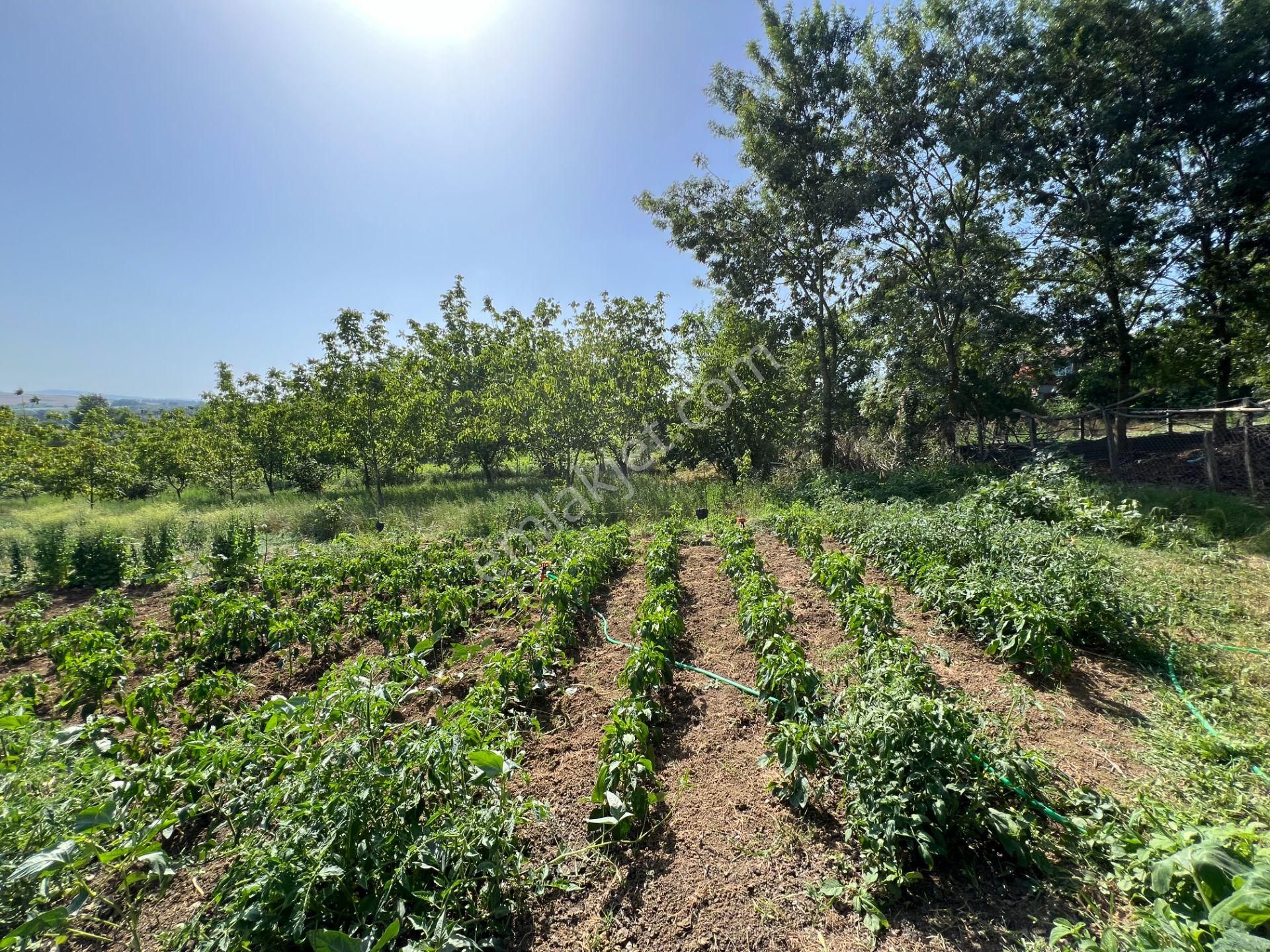 Söğütlü Beşdeğirmen Satılık Konut İmarlı  SAKARYA SÖĞÜTLÜ BEŞDEĞİRMEN KÖY İÇİ İMARLI 2860 m2 ARSA