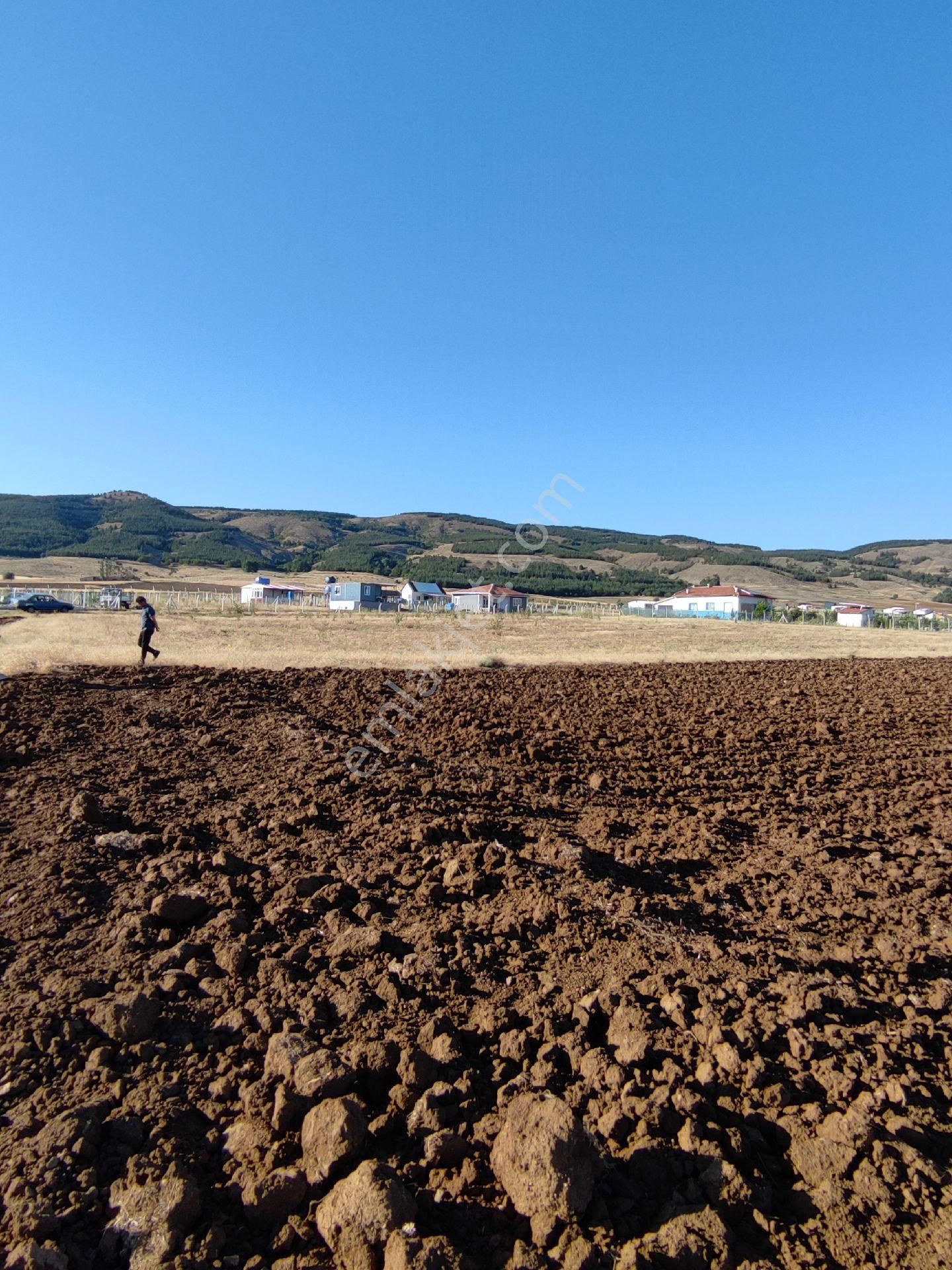 Tepebaşı Kozkayı Satılık Tarla Eskişehir Tepebaşı Kozkayı Mahallesi Satılık Tarla 