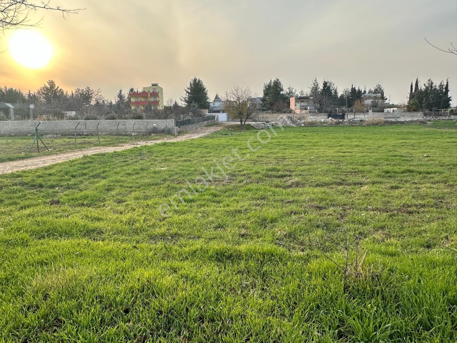 Karaköprü Gölpınar Satılık Bağ & Bahçe KARAKÖPRÜ GÖLPINARDA ACİL SATILIK BAĞ EVİ ARSASI 