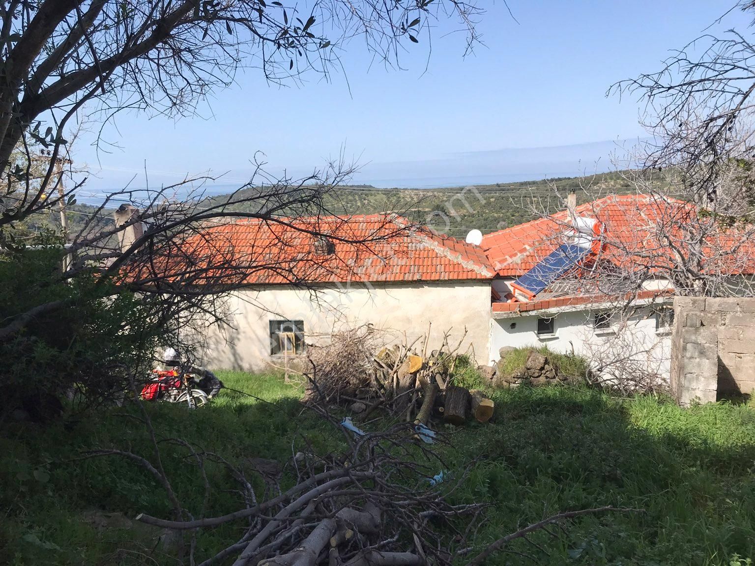 Ayvacık Gülpınar Köyü (Atatürk) Satılık Konut İmarlı Villa arsası