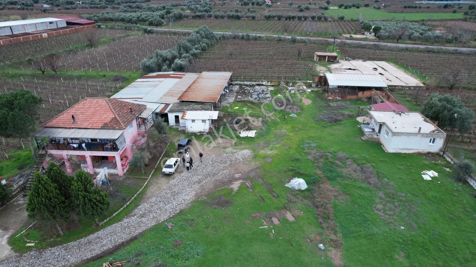 Manisa Alaşehir Satılık Bağ & Bahçe geleceği parlak olan yerimiz çiftlik 100 tane büyük baş hayvana bakılır 2 katlı evi var+ 1 daire 