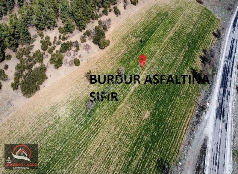 Acıpayam Sırçalık Satılık Tarla [ACG] ACIPAYAM' DA BURDUR ASFALTINA SIFIR TARLA 1050 M2