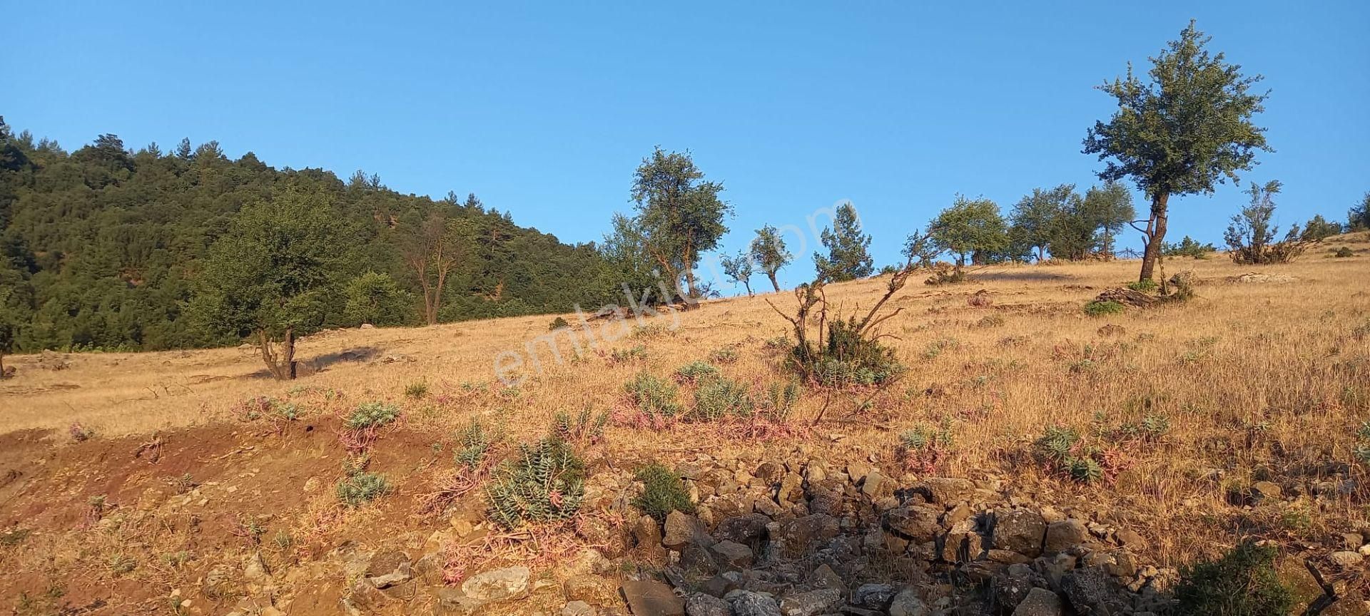 Konyaaltı Üçoluk Satılık Tarla  ANTALYA KONYAALTI ÜÇOLUK MAHALLESİ SATILIK PASEL