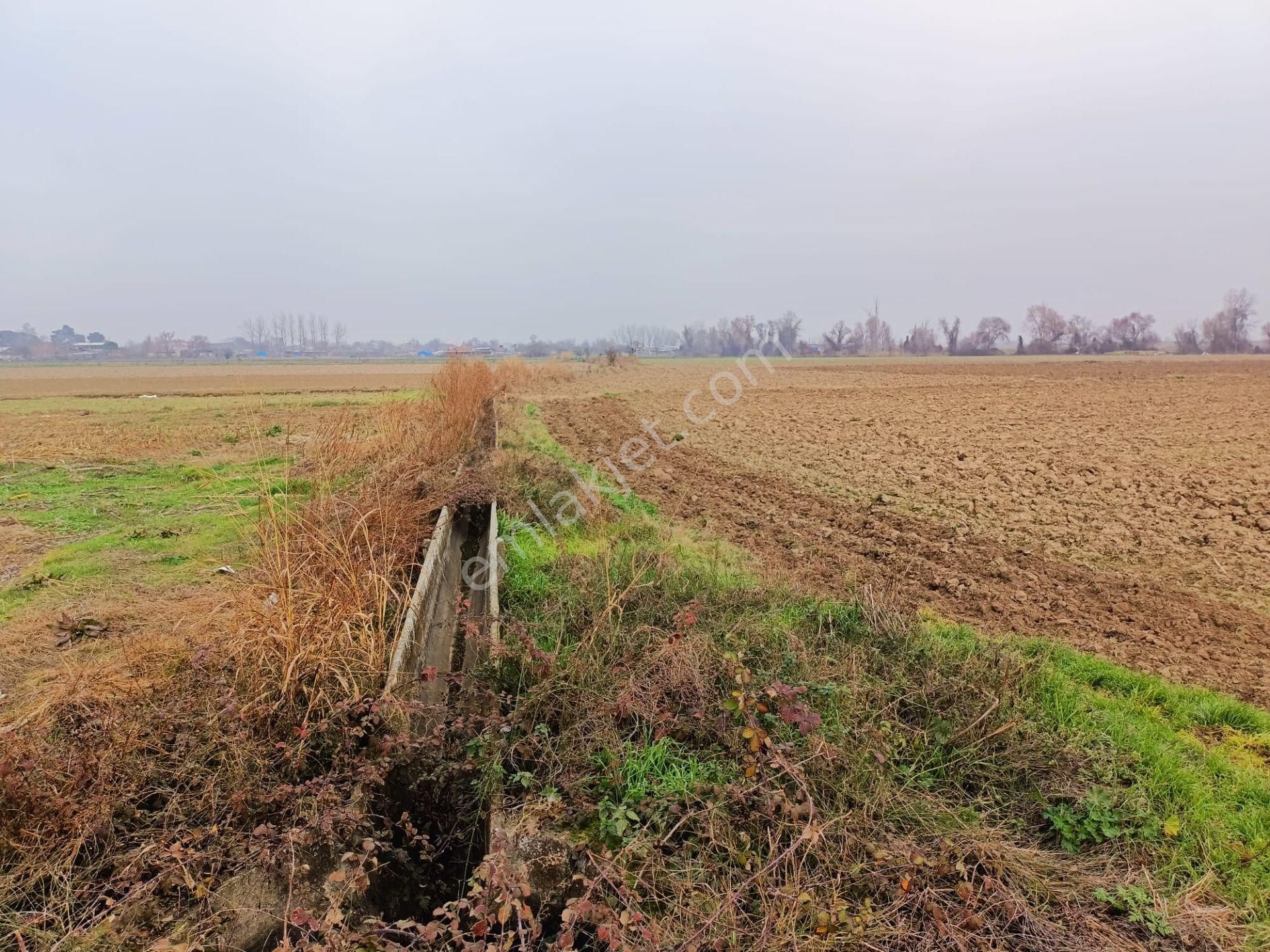 Bursa Mustafakemalpaşa Tepecik Mh.8.900 M2 Hayvancılık Proje Kapsamında - Görsel 6
