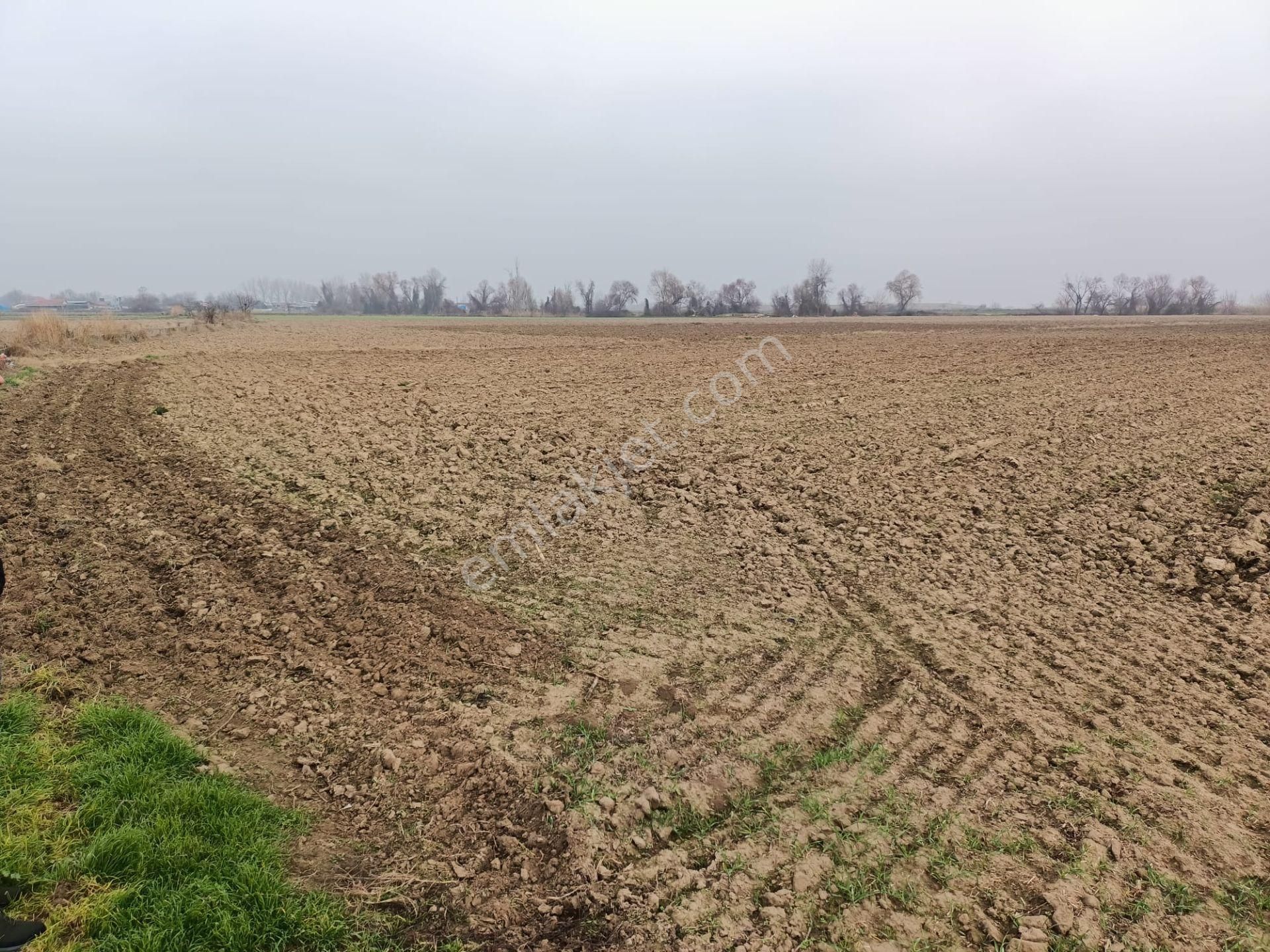 Bursa Mustafakemalpaşa Tepecik Mh.8.900 M2 Hayvancılık Proje Kapsamında - Görsel 10