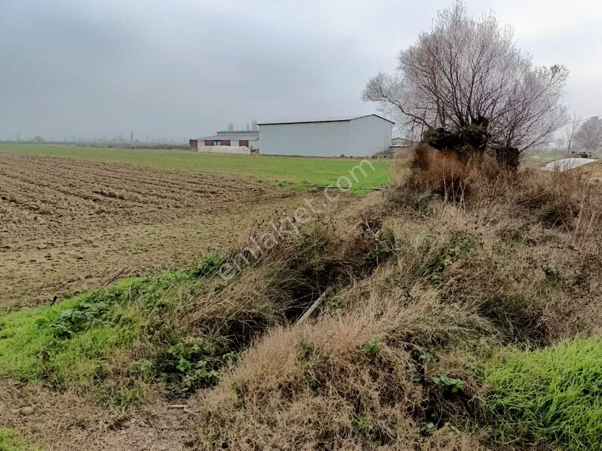 Bursa Mustafakemalpaşa Tepecik Mh.8.900 M2 Hayvancılık Proje Kapsamında - Görsel 9