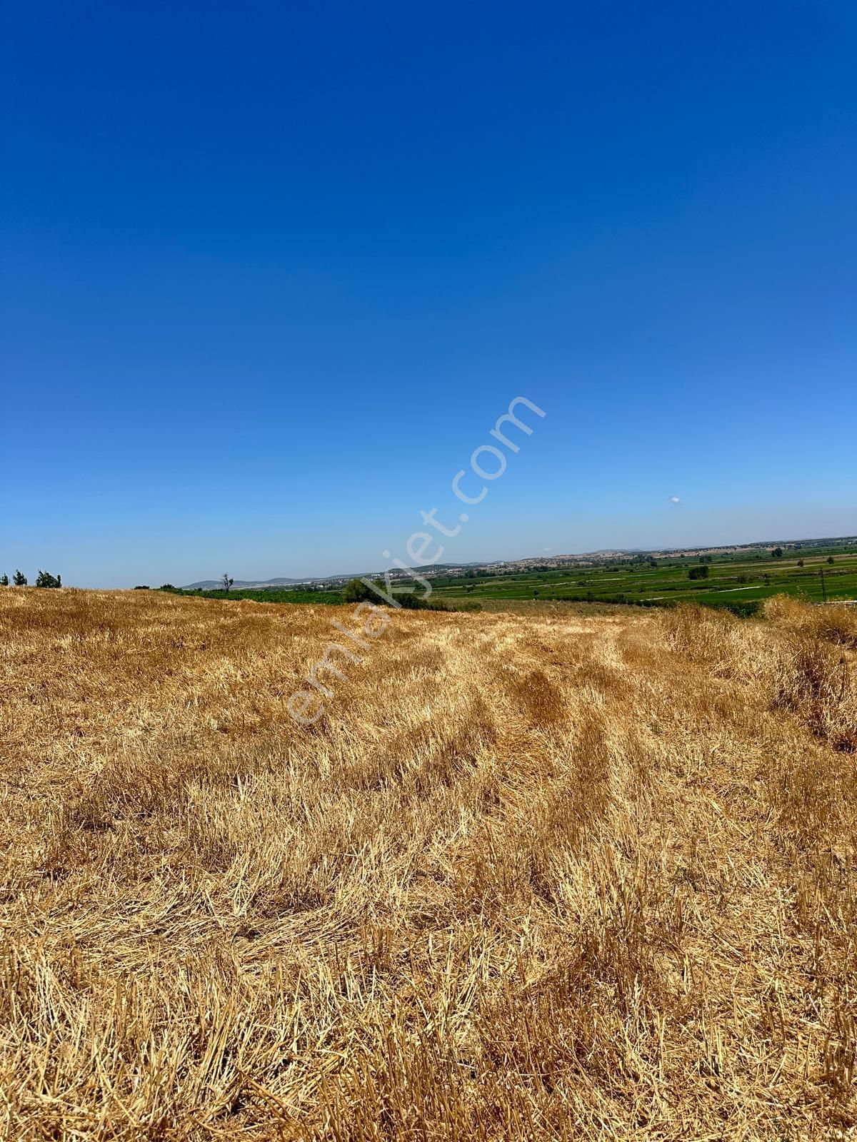 Biga Gemicikırı Köyü Satılık Tarla BİGA GEMİCİKIRI SATILIK TARLA