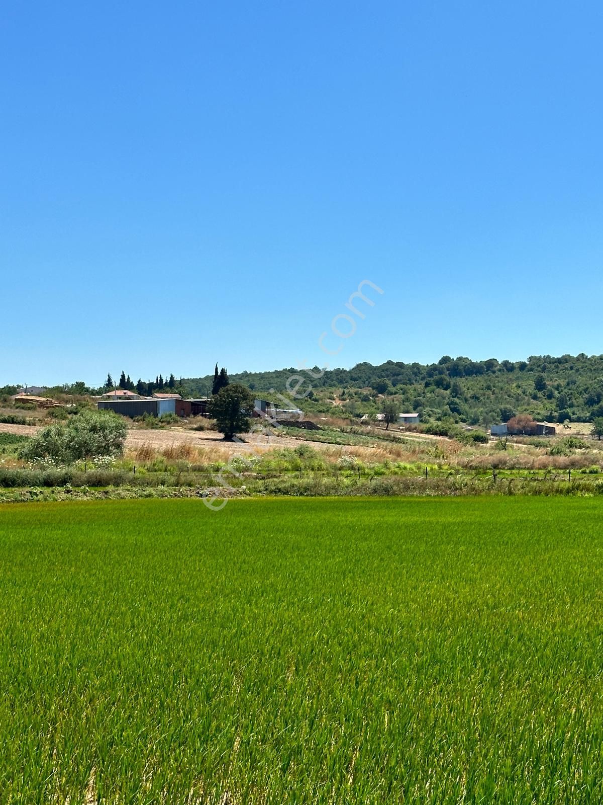 Biga Gemicikırı Köyü Satılık Tarla  BİGA GEMİCİKIRI SATILIK TARLA