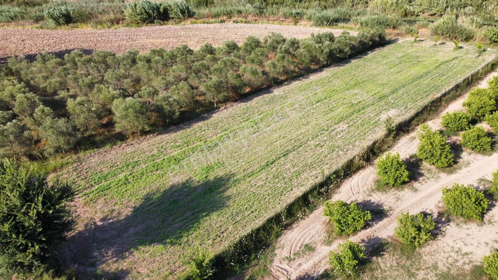 Ortaca Fevziye Satılık Villa İmarlı MUĞLA ORTACA FEVZİYEDE SATILIK ARSA