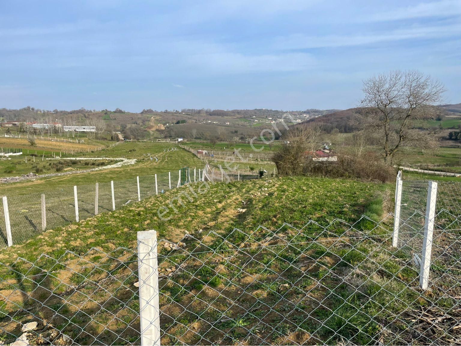 Kandıra Çalköy Satılık Tarla SAHİBİNDEN BUNGALOVLUK YER