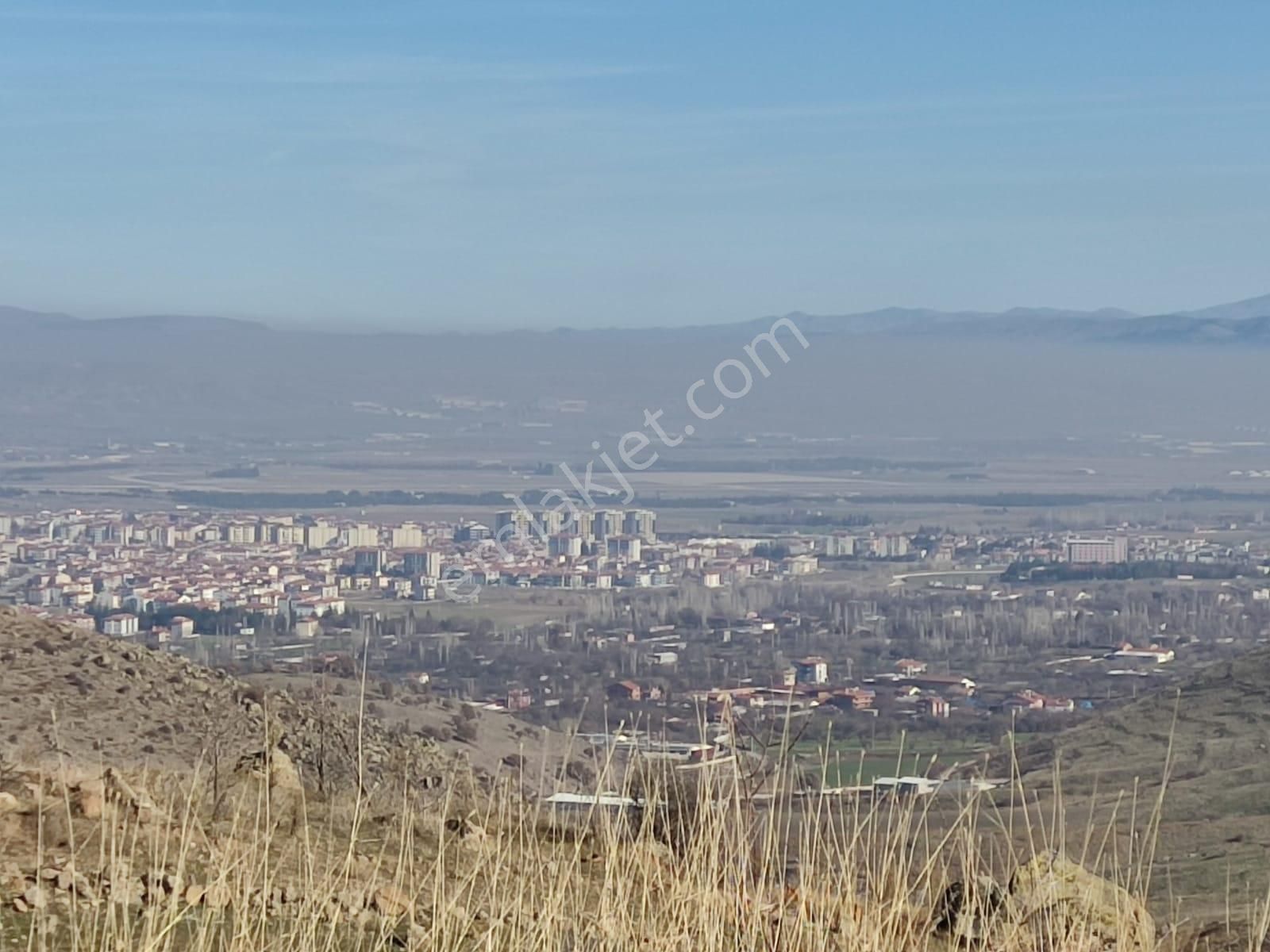 Afyonkarahisar Merkez Kocatepe Bld. (Kurtuluş) Satılık Bağ & Bahçe İhtiyaçtan dolayı satılık şehir manzaralı arsa