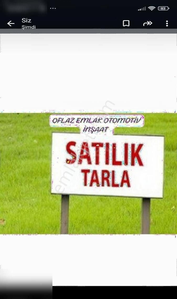 Yayladağı Yenice Satılık Tarla OFLAZ EMLAK TAN SATLIK YAYLADAĞI YENİCEDE 40 DÖNÜM KELEPİR TARLA