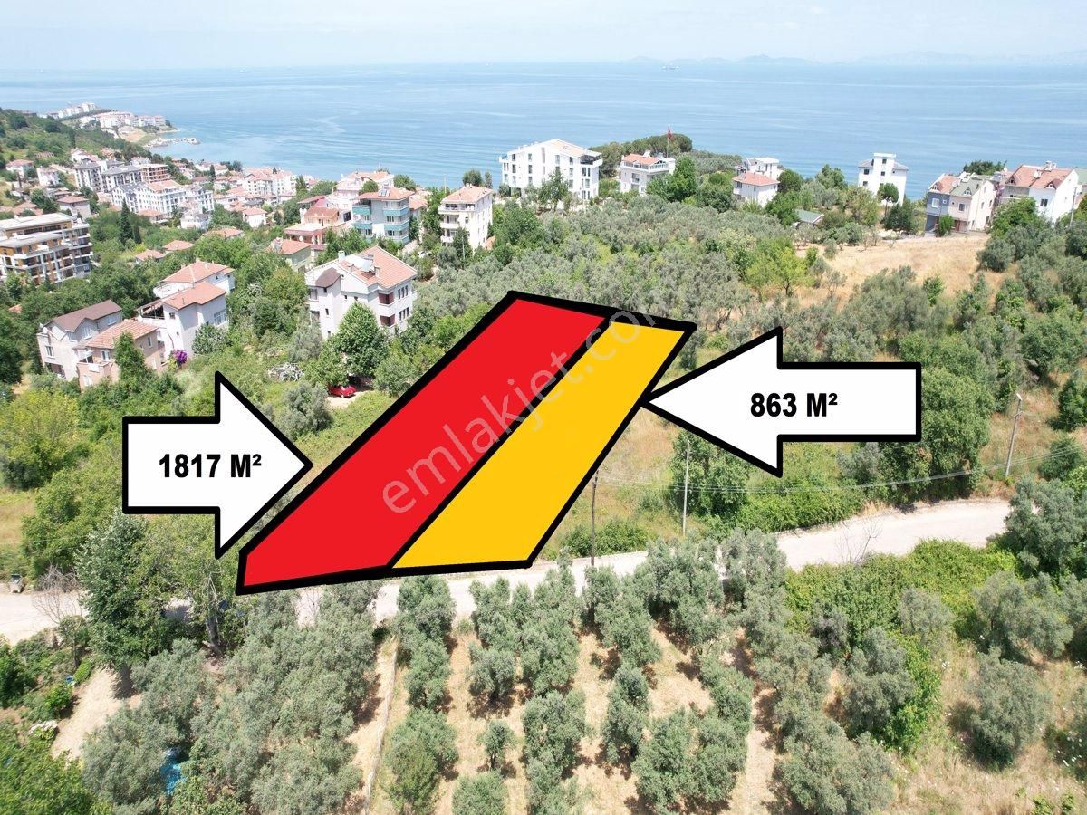 Çınarcık Koru Bld. (Hürriyet) Satılık Konut İmarlı ÇINARCIK KORU'DA SATILIK 3,5 KAT İMARLI 2260 M² ARSA