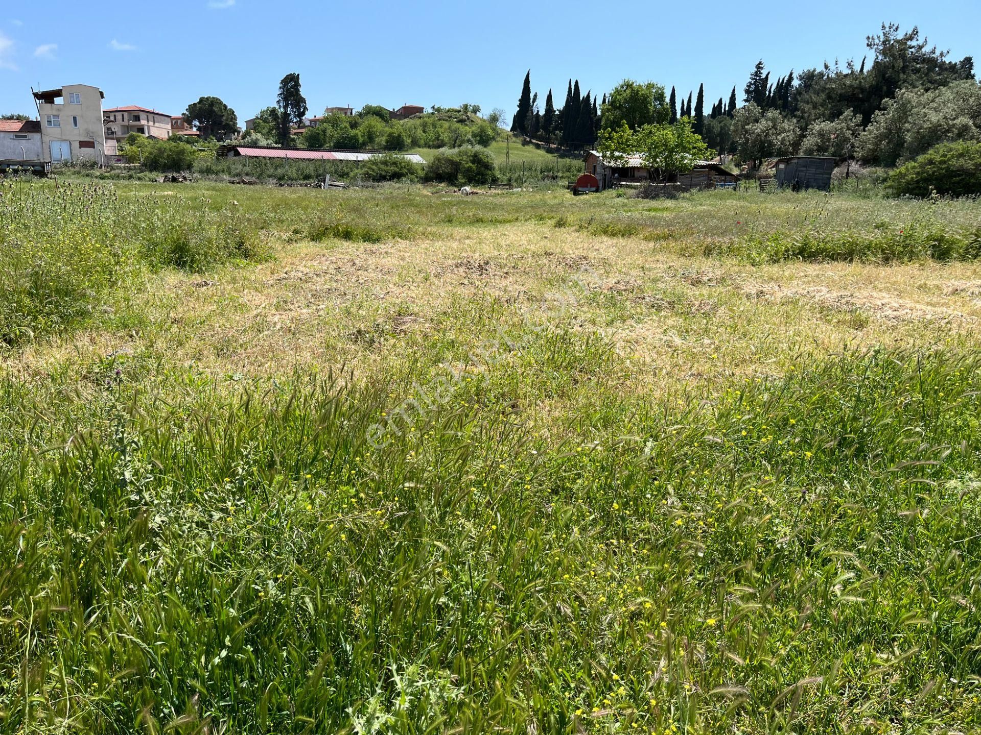 Burhaniye Pelitköy Satılık Konut İmarlı  Burhaniye Pelitköy'de İmarlı Arsa