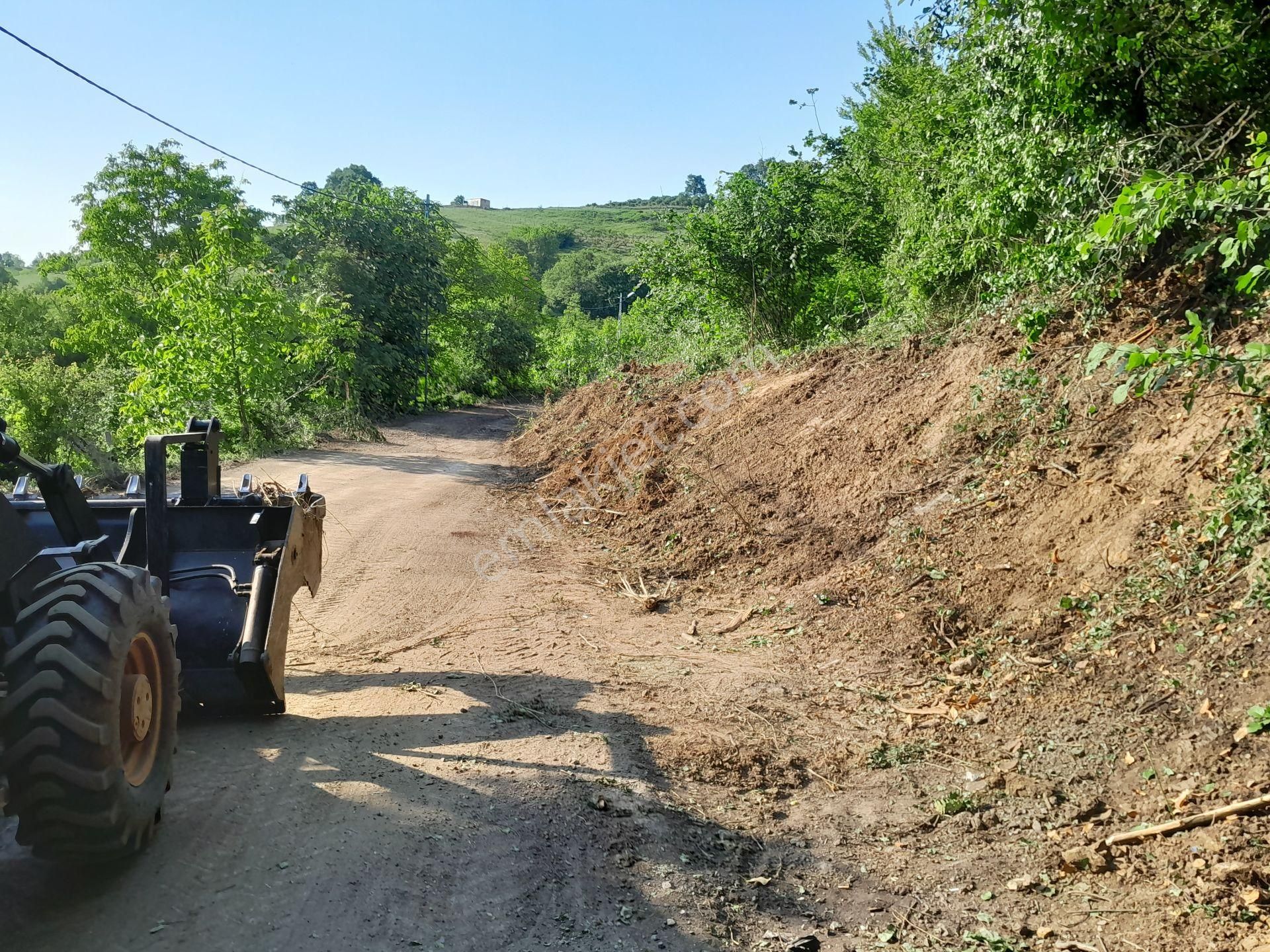 Şile Geredeli Satılık Tarla  İstanbul Emlak'tan  Şile Ağva geredeli köy içi 1587m2 asfalta 87metre cepheli manzaralı 