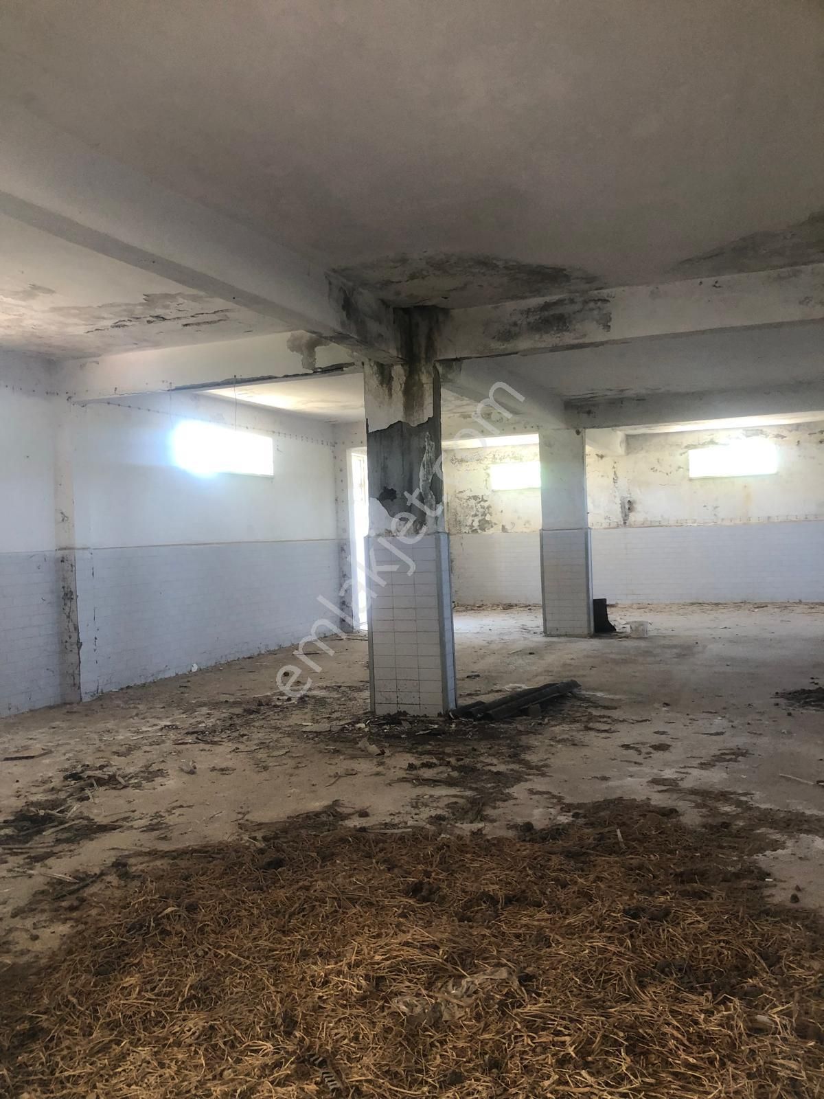 Uzunköprü Çöpköy Mahallesinde Satılık Mandıra - Görsel 12