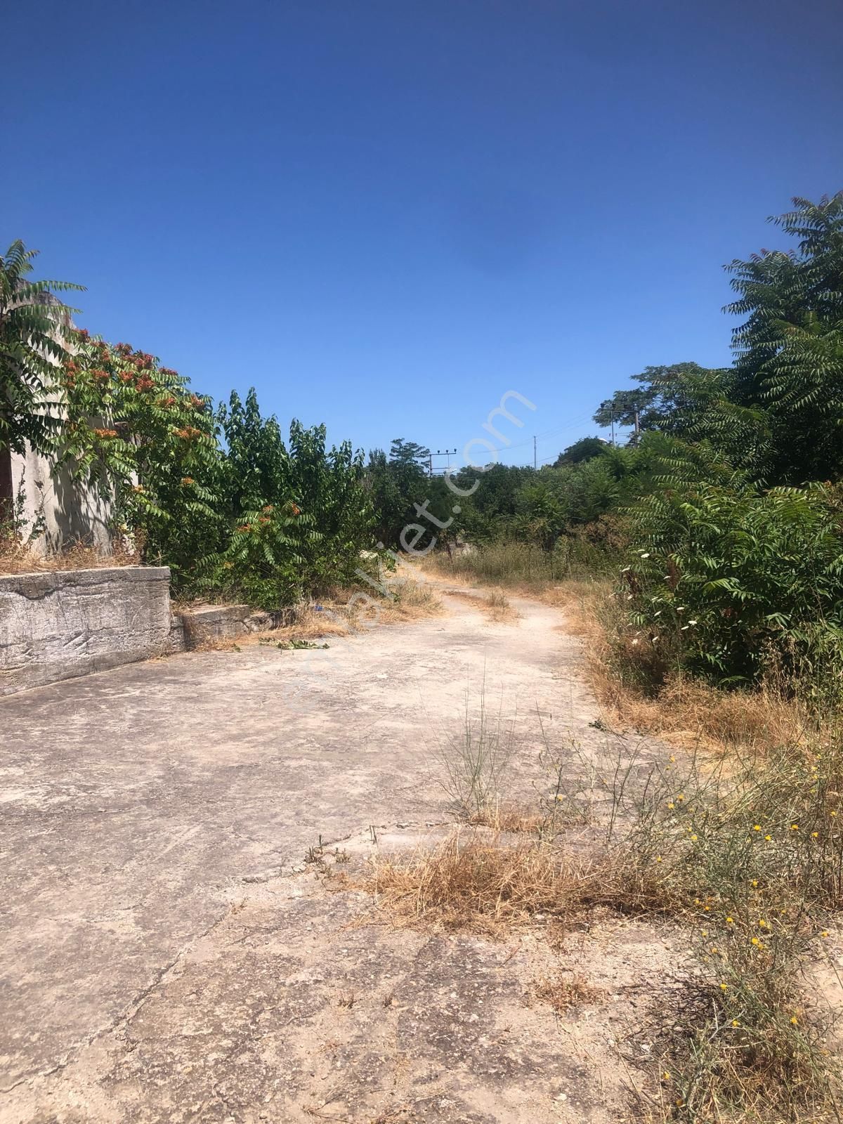 Uzunköprü Çöpköy Mahallesinde Satılık Mandıra - Görsel 23