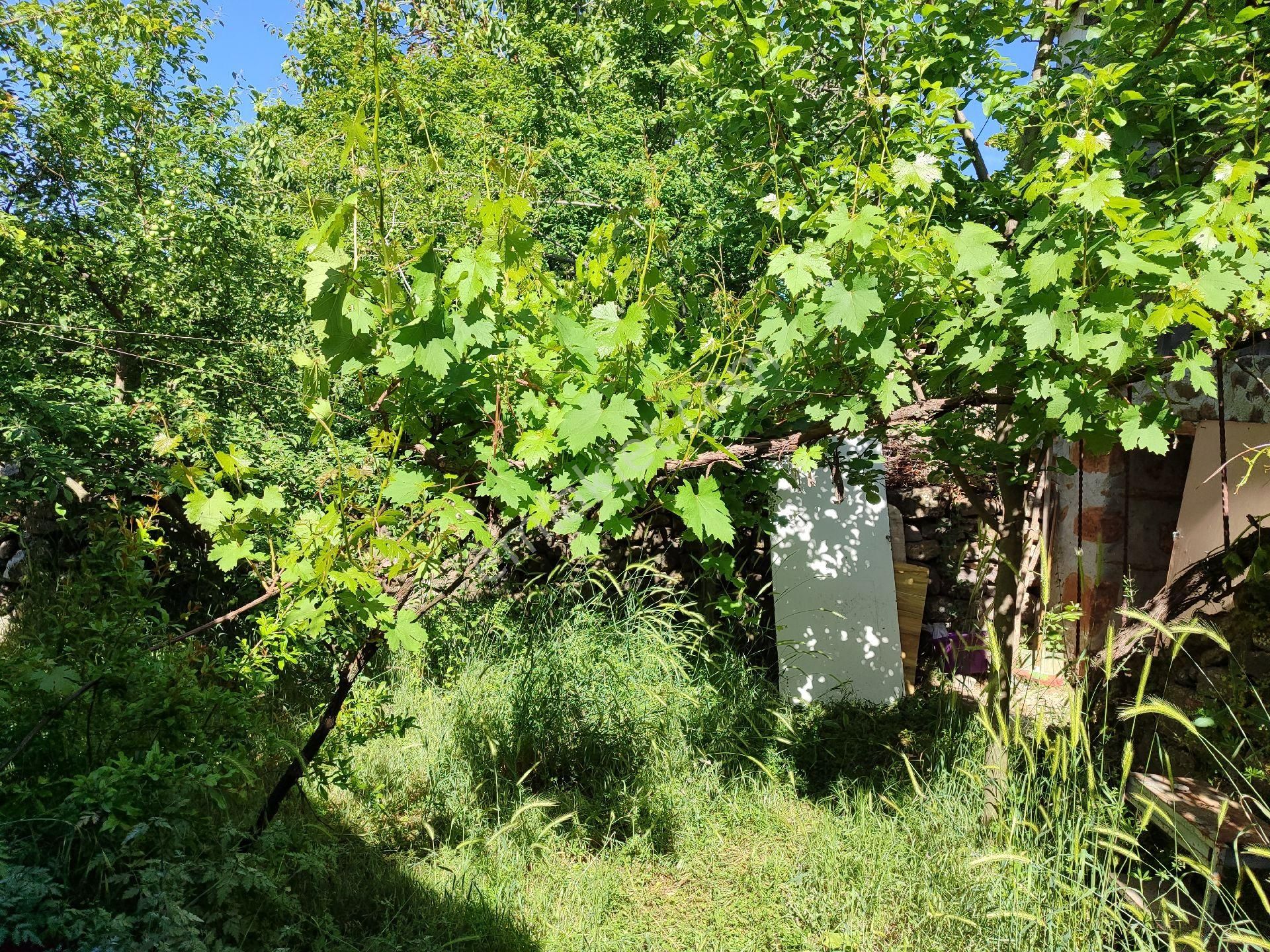 Bergama İsmailli Satılık Köy Evi İSMAİLLİ'DE HUZUR DOLU BİR YAŞAM