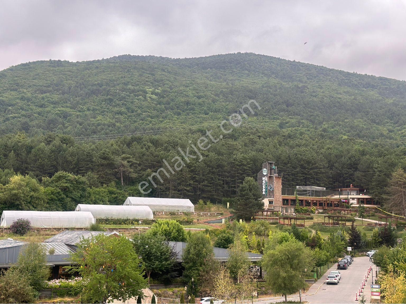 Bolu Merkez Demirciler Köyü (Demirciler Yaylası) Kiralık Devremülk 2-9 Ağustos’da Narvende tatil.2+1 odalı 3.kat orman manzaralı 