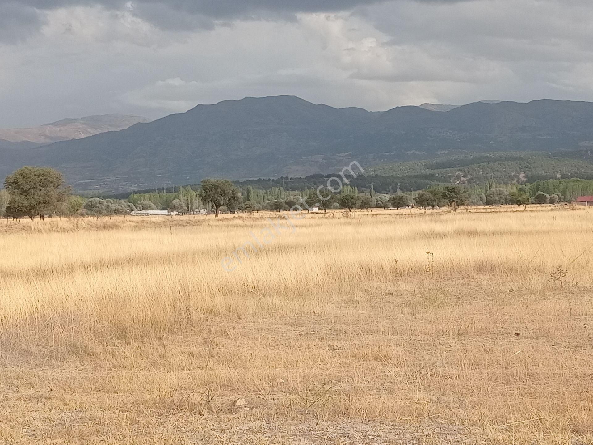 Seydikemer Yayla Karaçulha Satılık Tarla FETHİYE YAYLA KARAÇULHA MEVKİİ FIRSAT YATIRIMLIK TARLA (1.292.61) M2 