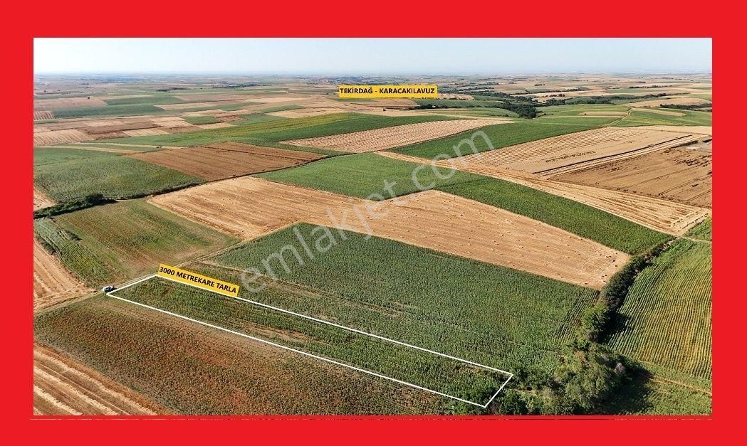 Süleymanpaşa Karacakılavuz Satılık Tarla  SÜLEYMANPAŞA KARACAKILAVUZ'DA 3.000M2 YAZ KIŞ YOLU MEVCUT TEK TAPU UYGUN TARLA