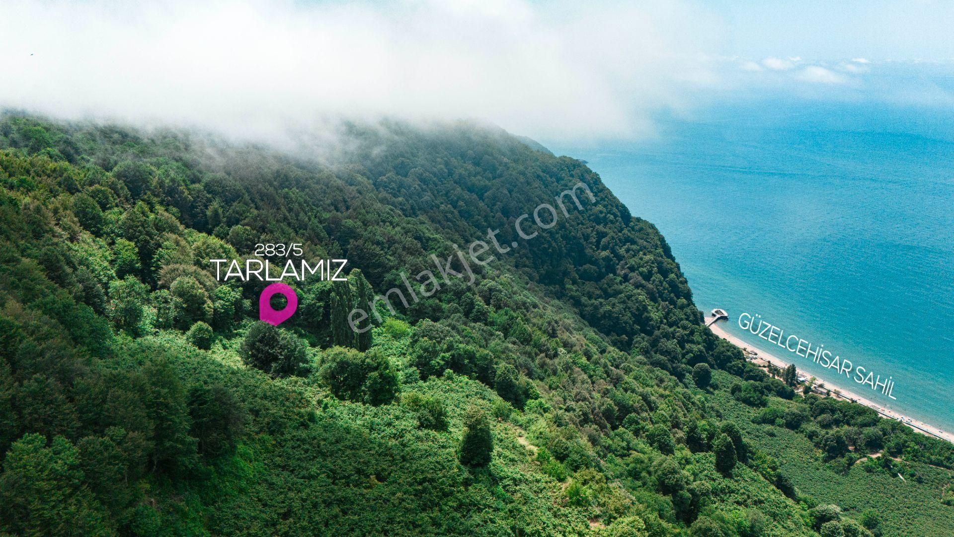 Bartın Merkez Güzelcehisar Köyü (Kapaklı) Satılık Tarla  TURKUAZ GAYRİMENKULDEN GÜZELCEHİSARDA 933m²DENİZ MANZARALI TARLA