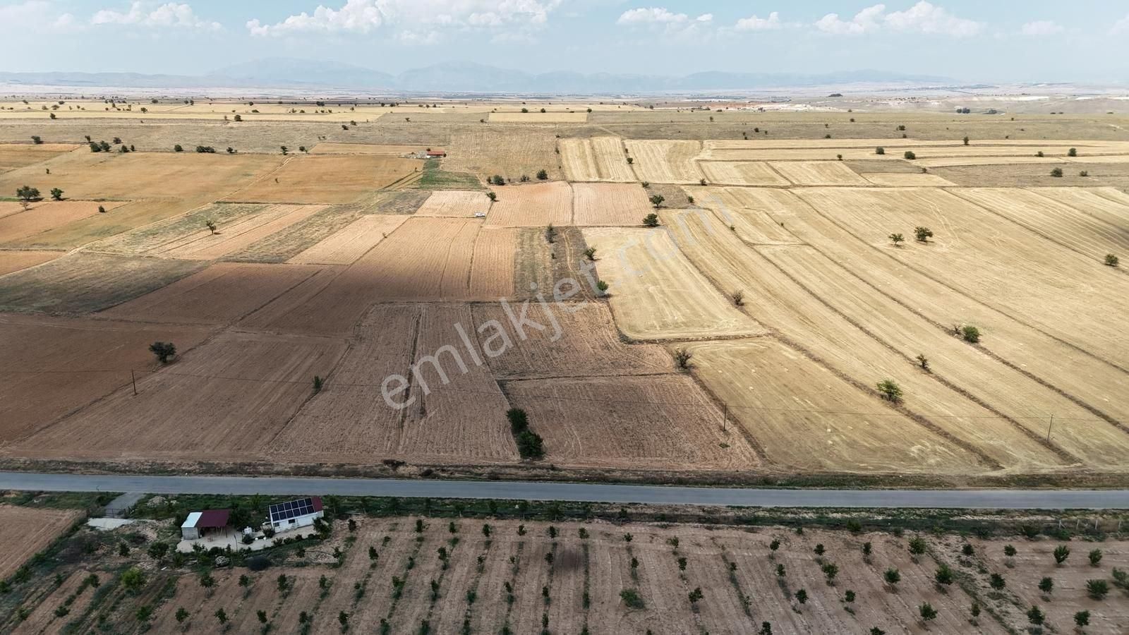 Dazkırı Yukarıyenice Köyü Satılık Tarla DAZKIRI Y.YENİCE YOLA 230 METRE YERLEŞİME YAKIN DÜZ ZEMİN ARAZİ