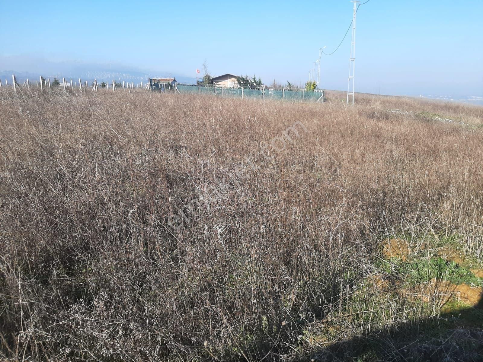 Çatalca Ferhatpaşa Mahallesi Satılık 350 M² Tarla Çaplı - Görsel 10