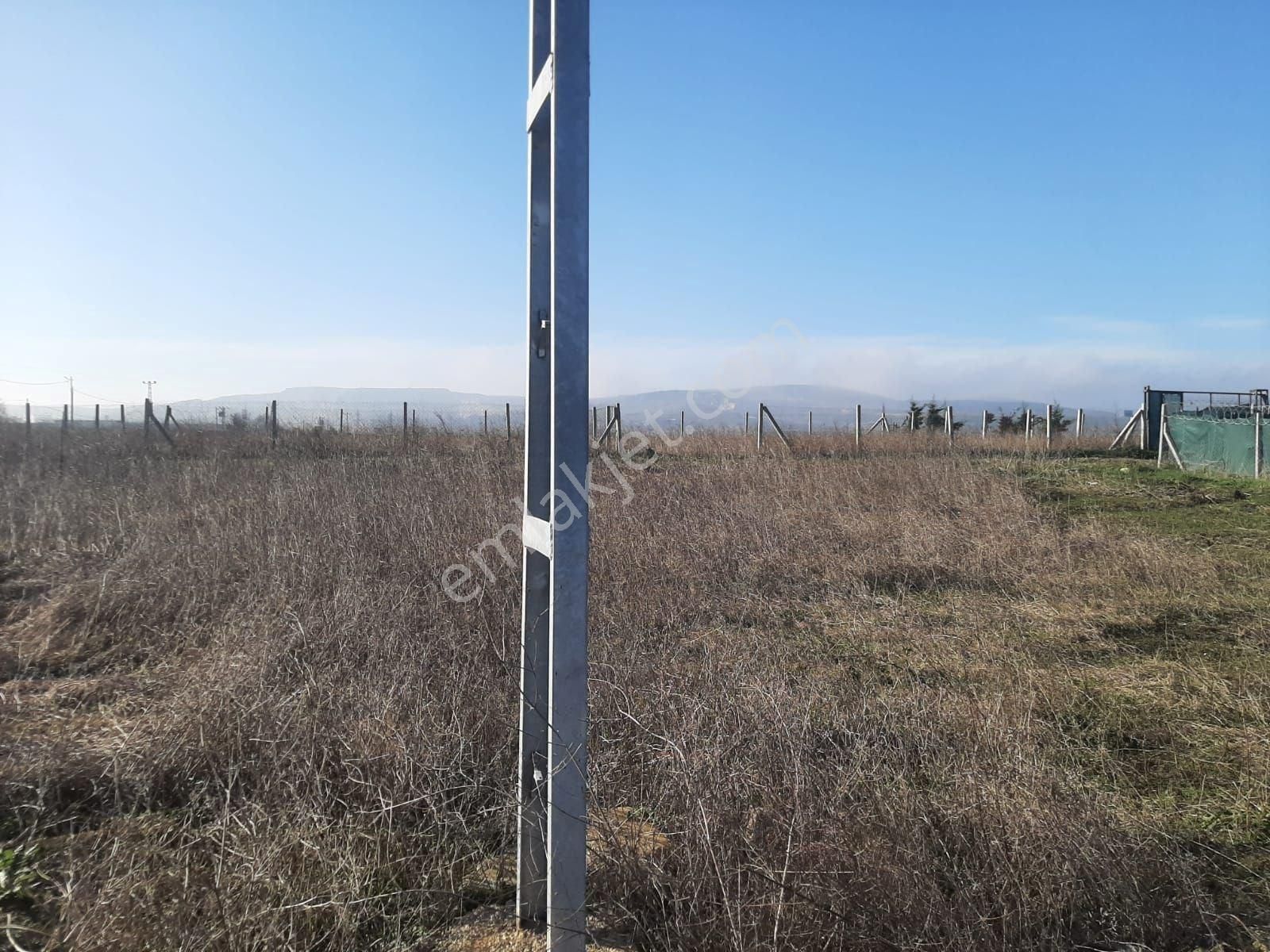 Çatalca Ferhatpaşa Mahallesi Satılık 350 M² Tarla Çaplı - Görsel 16