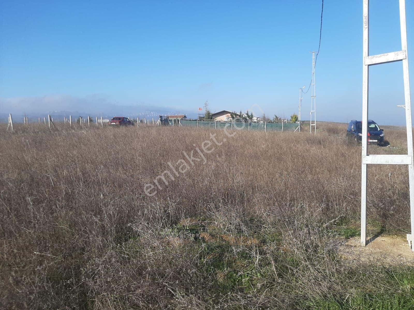 Çatalca Ferhatpaşa Mahallesi Satılık 350 M² Tarla Çaplı - Görsel 21