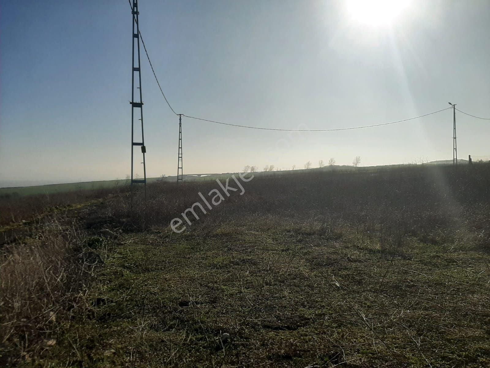 Çatalca Ferhatpaşa Mahallesi Satılık 350 M² Tarla Çaplı - Görsel 29