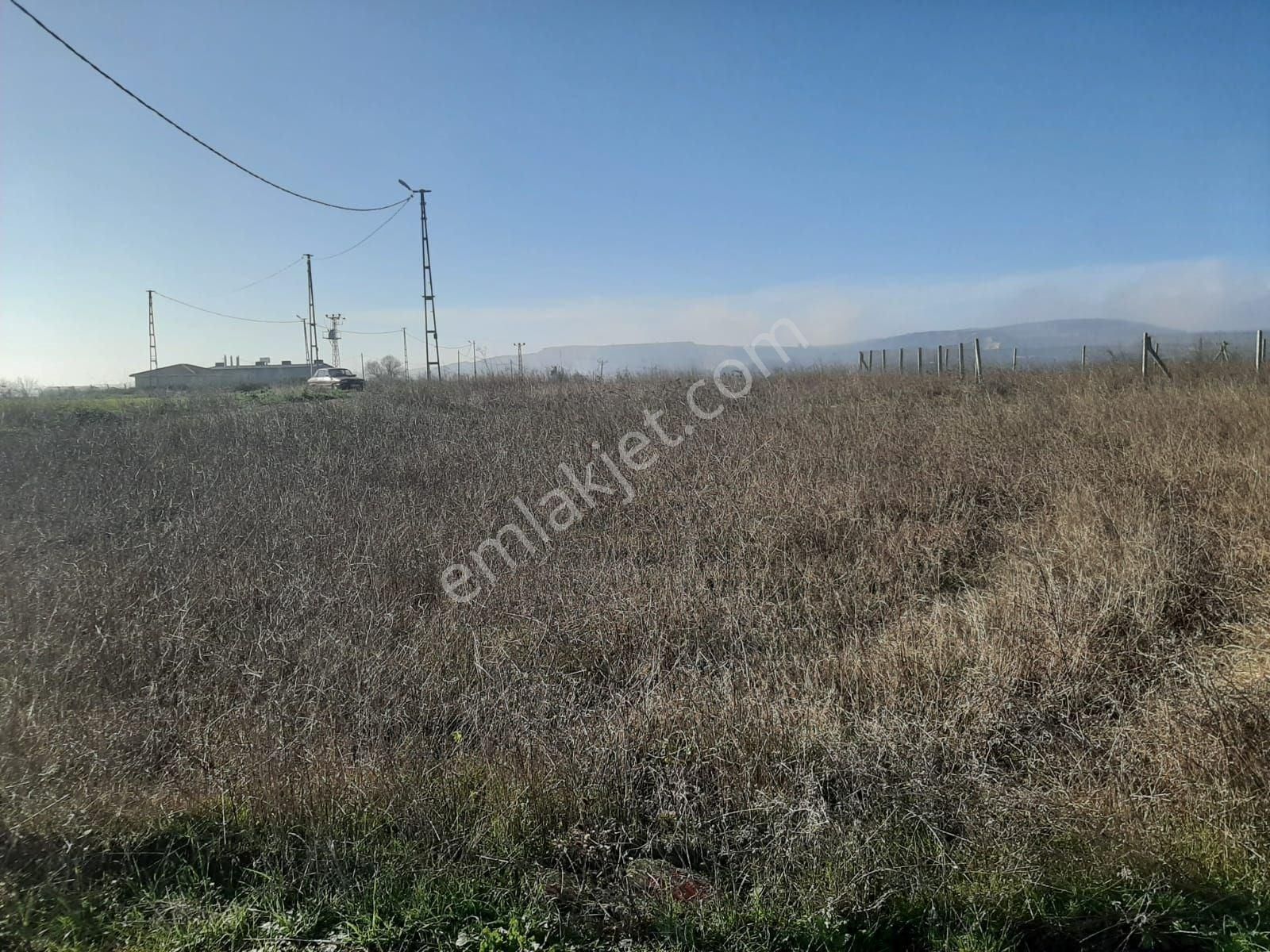 Çatalca Ferhatpaşa Mahallesi Satılık 350 M² Tarla Çaplı - Görsel 4