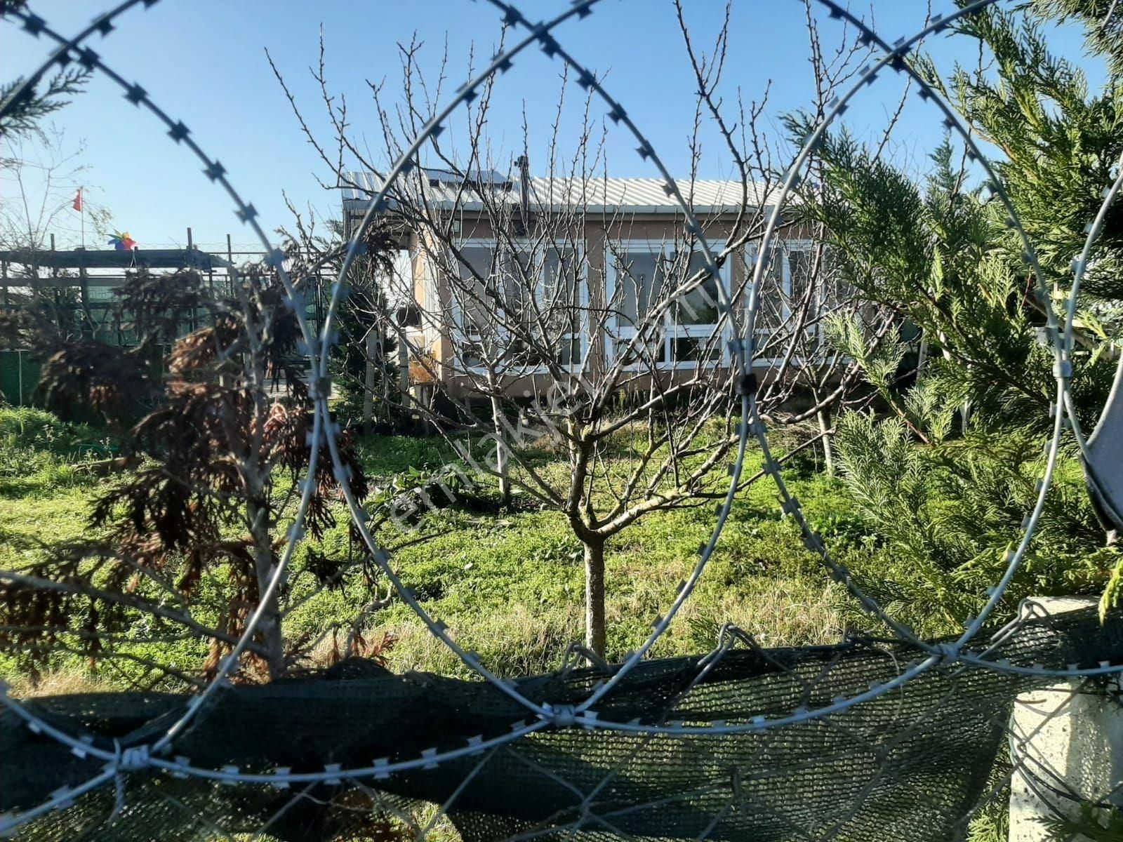 Çatalca Ferhatpaşa Mahallesi Satılık 350 M² Tarla Çaplı - Görsel 5